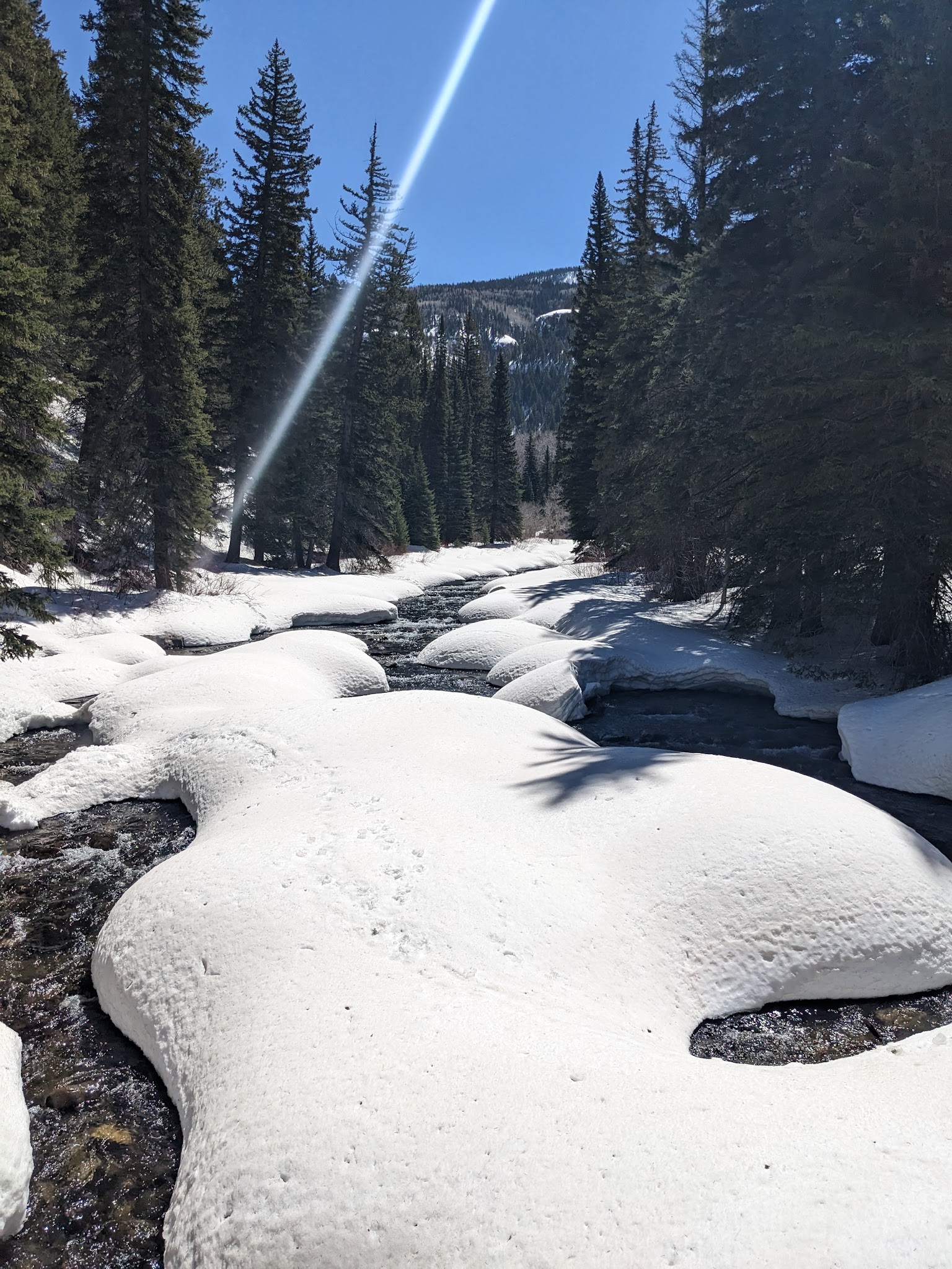 South Fork Campground & Trailhead