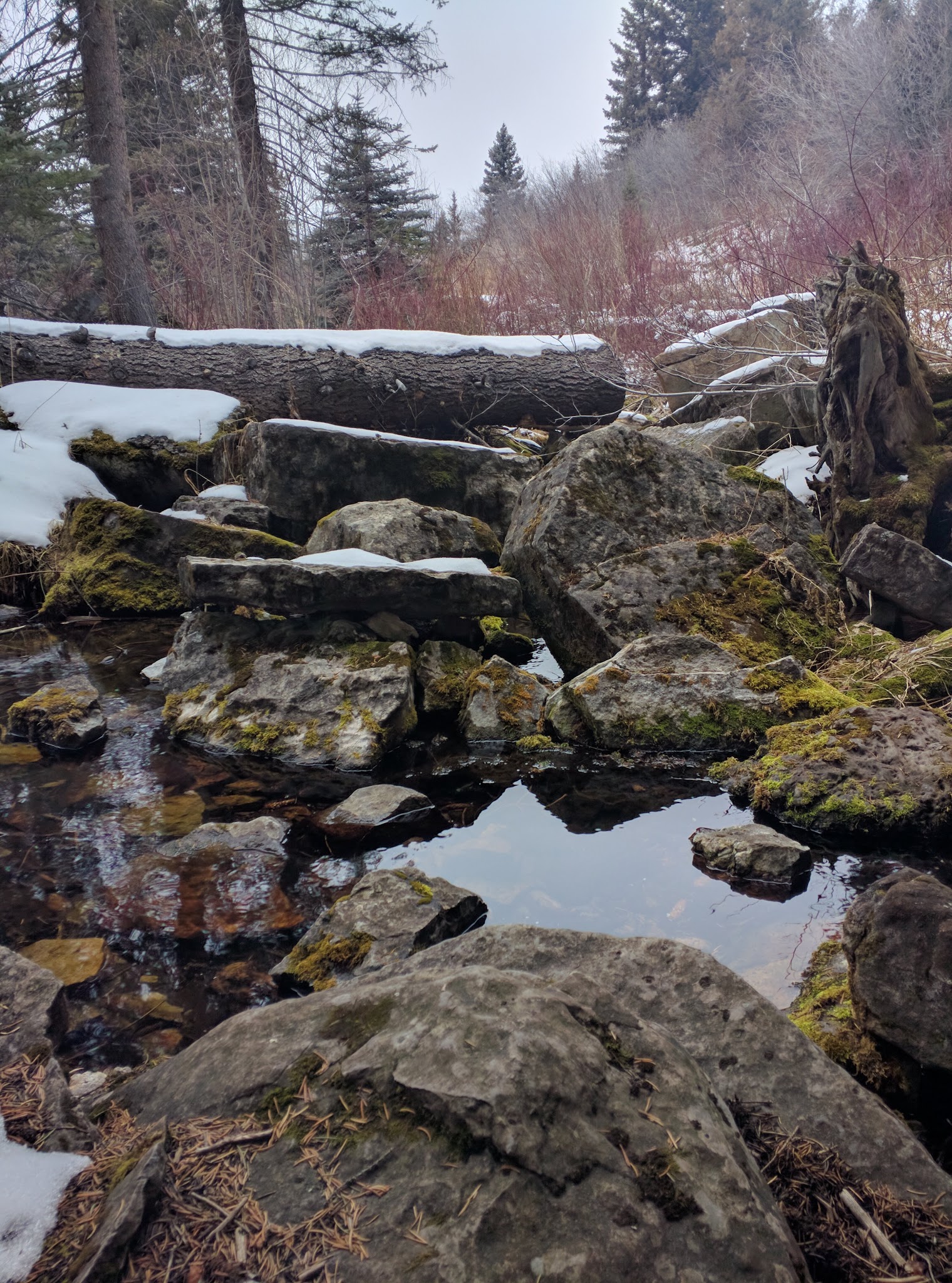 South Fork Campground & Trailhead