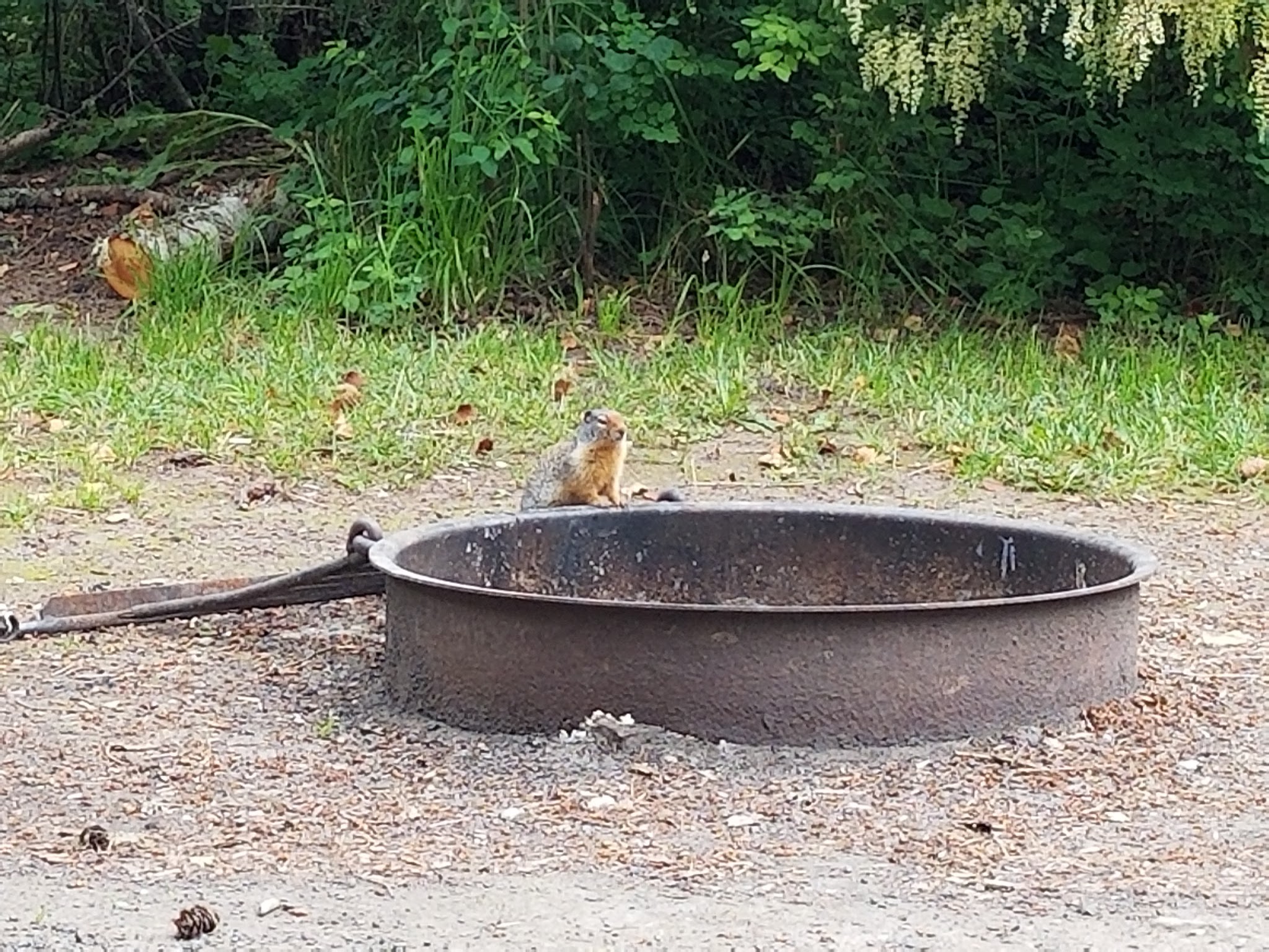 South Fork Campground