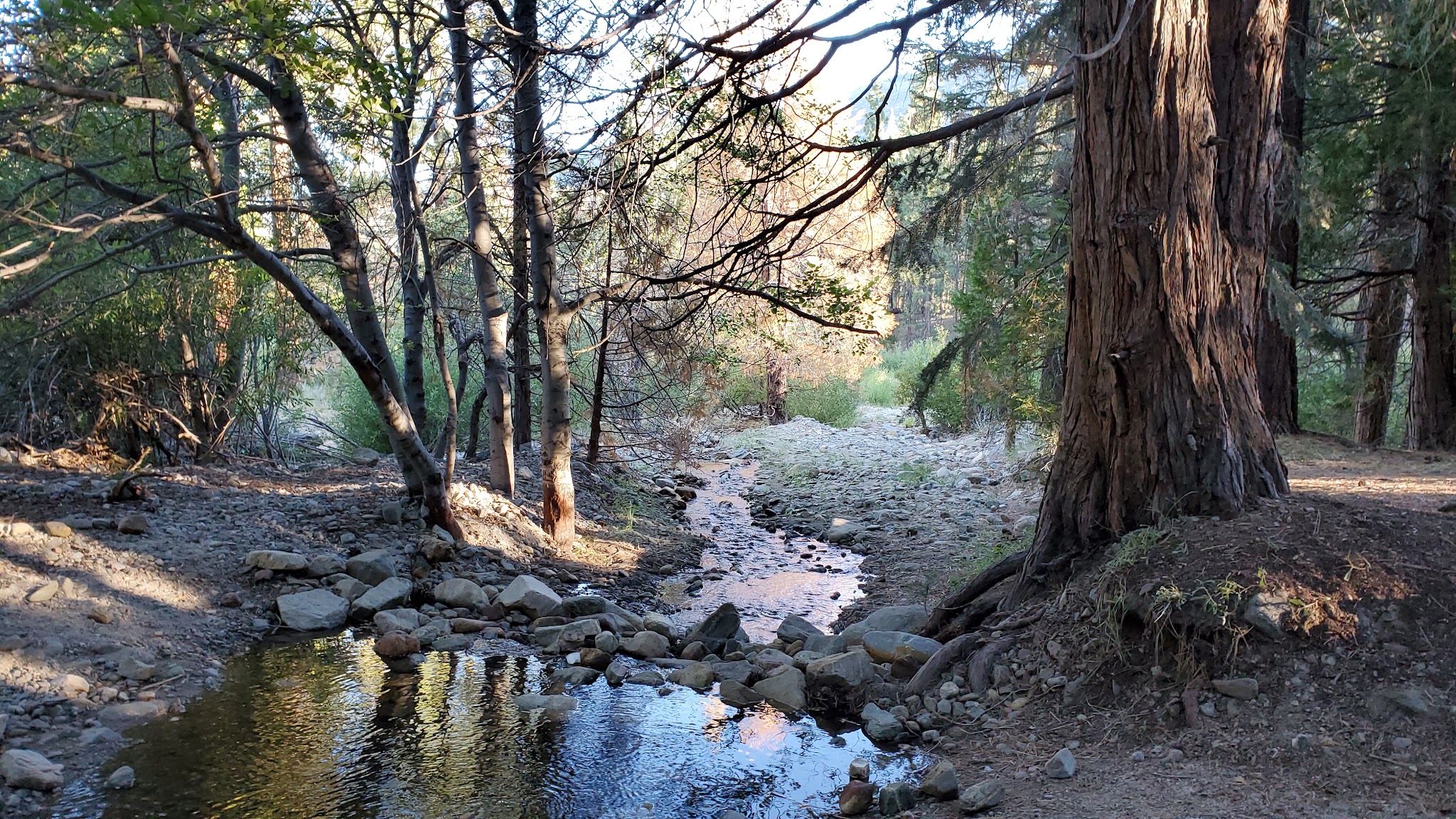 South Fork Family Campground