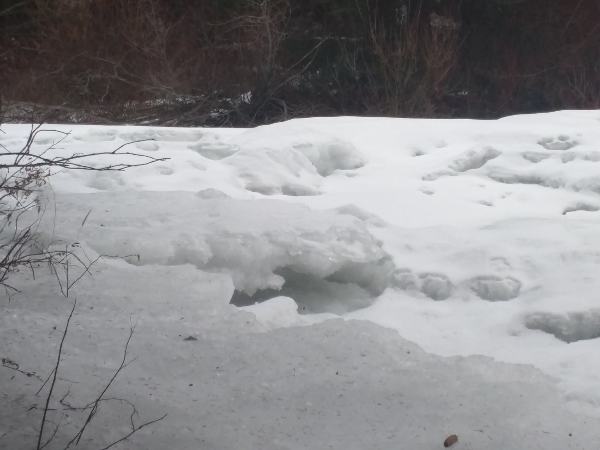 South Fork Campground & Trailhead