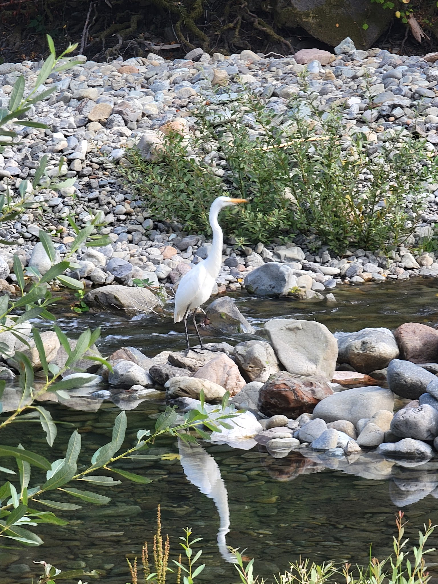 South Fork Camping And Day Use Area