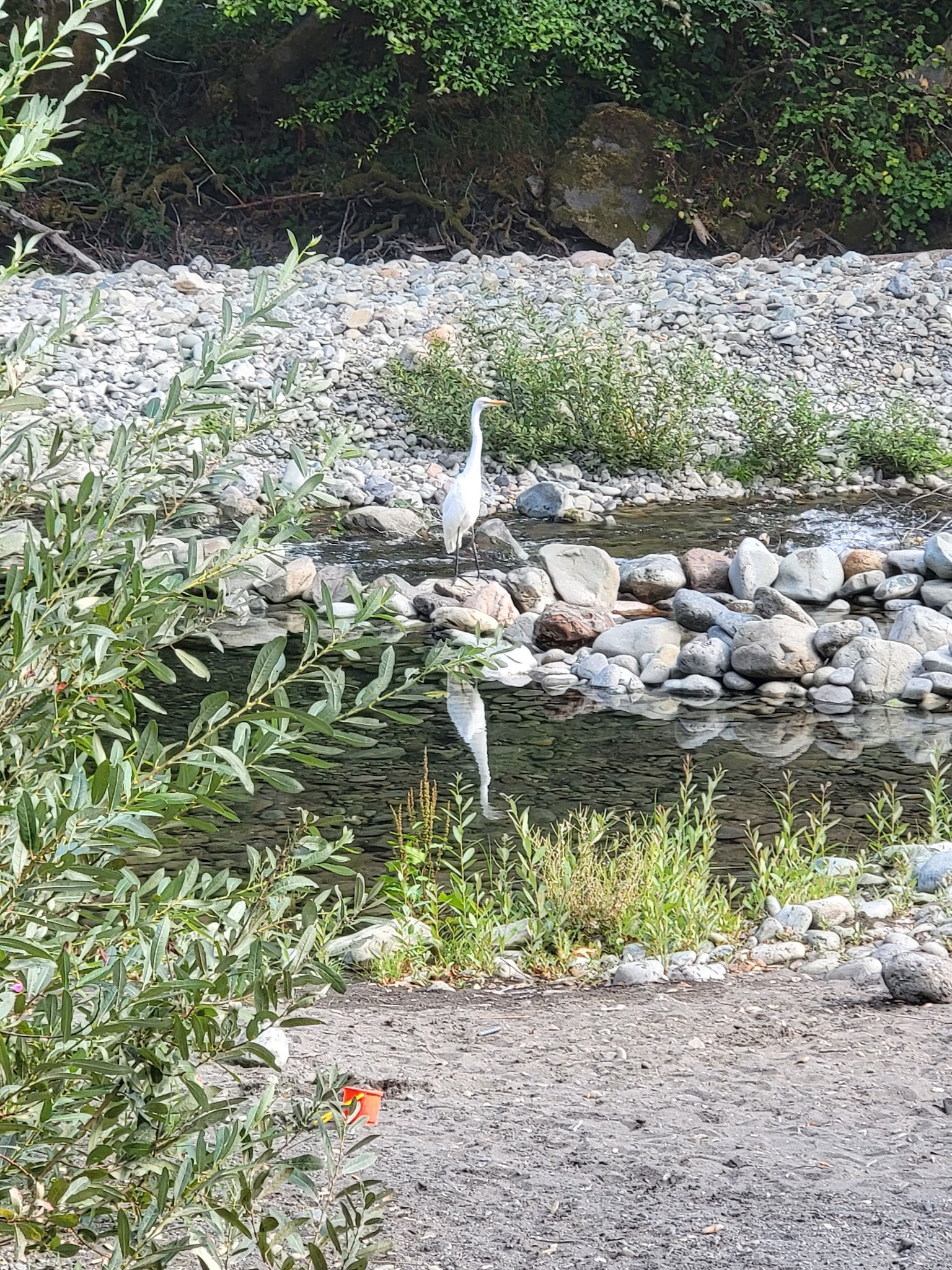 South Fork Camping And Day Use Area