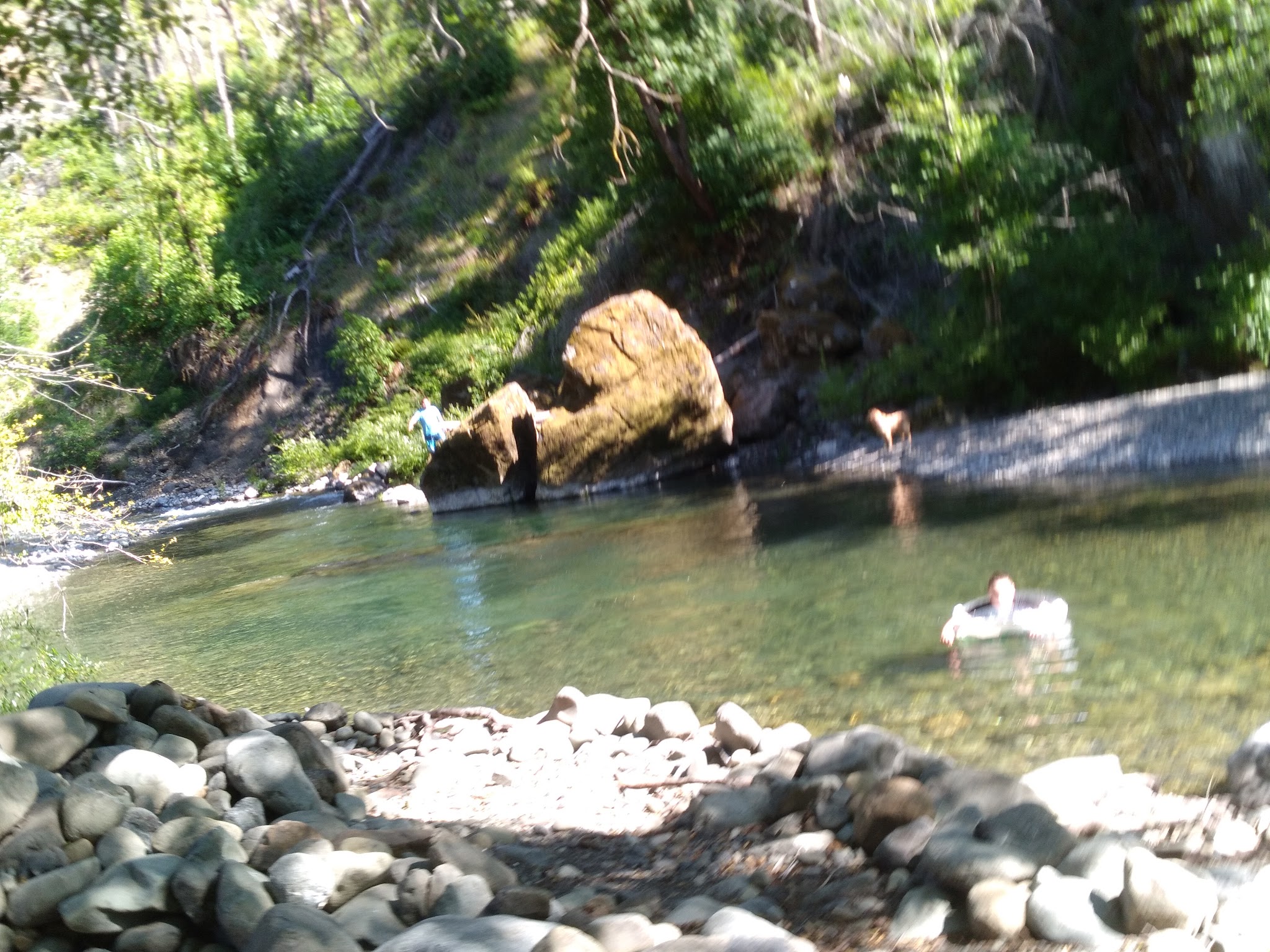 South Fork Camping And Day Use Area