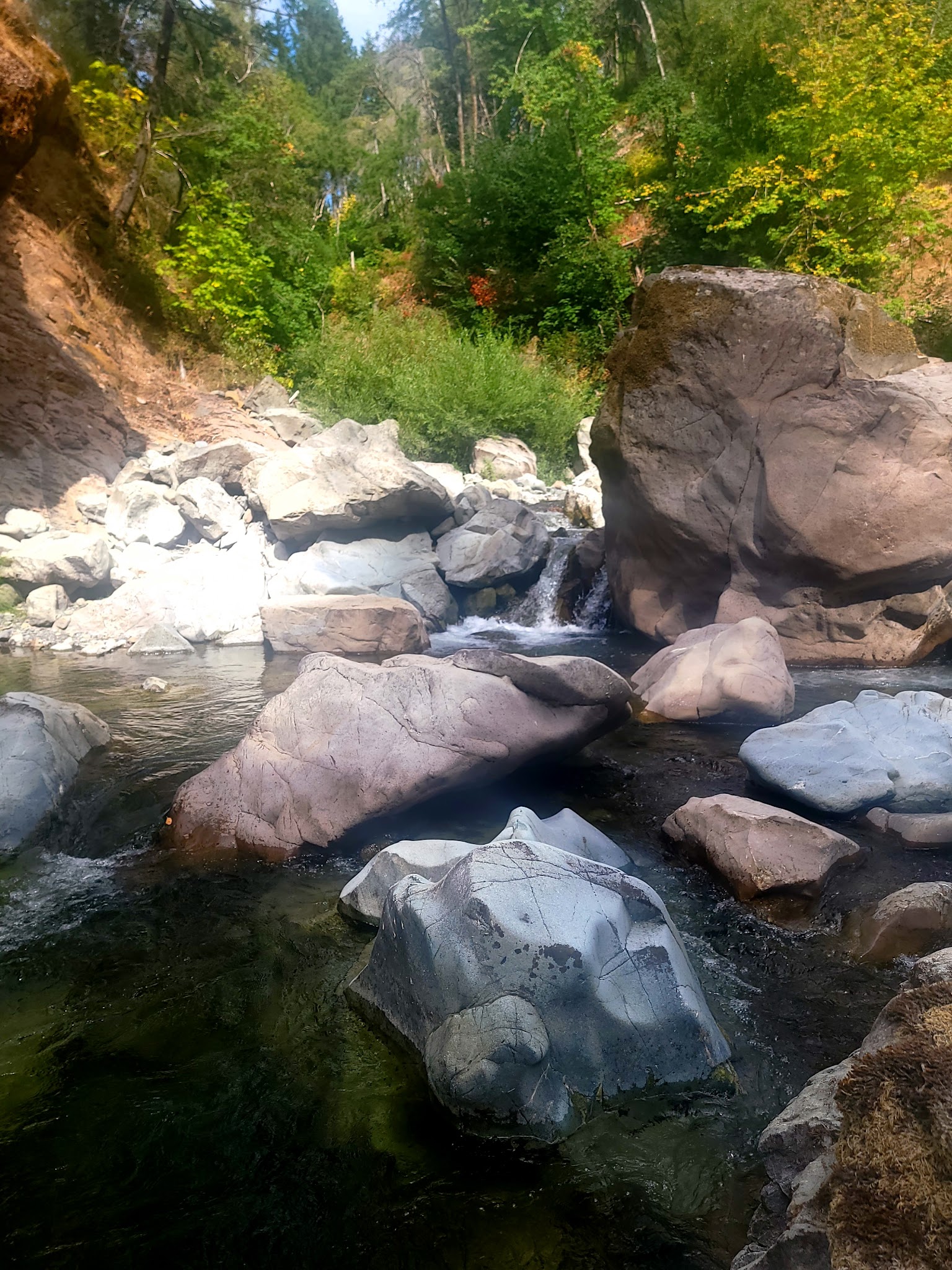 South Fork Camping And Day Use Area