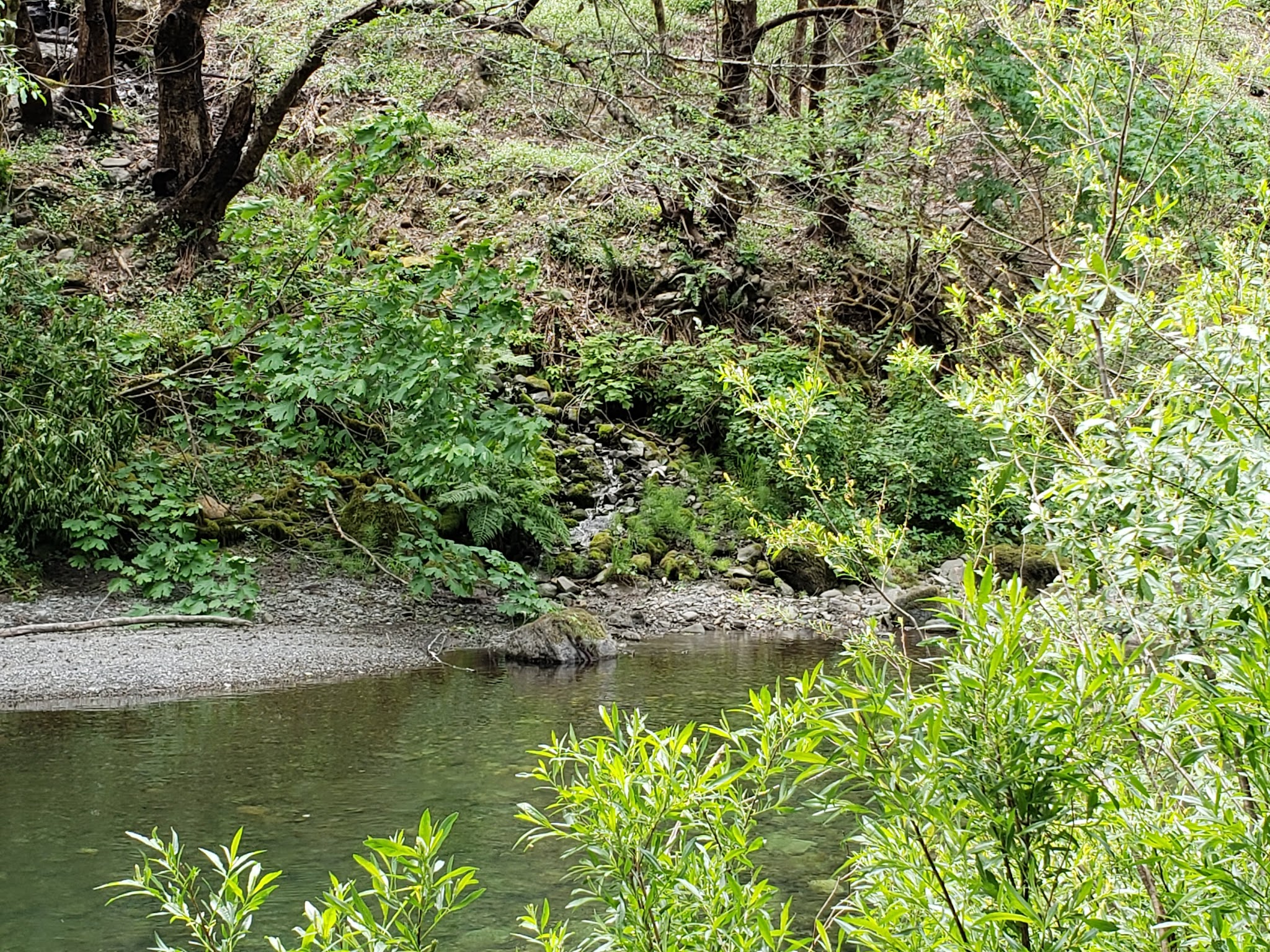 South Fork Camping And Day Use Area