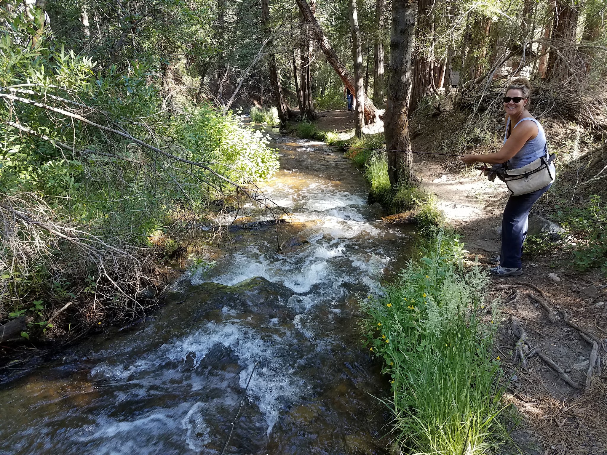 South Fork Family Campground