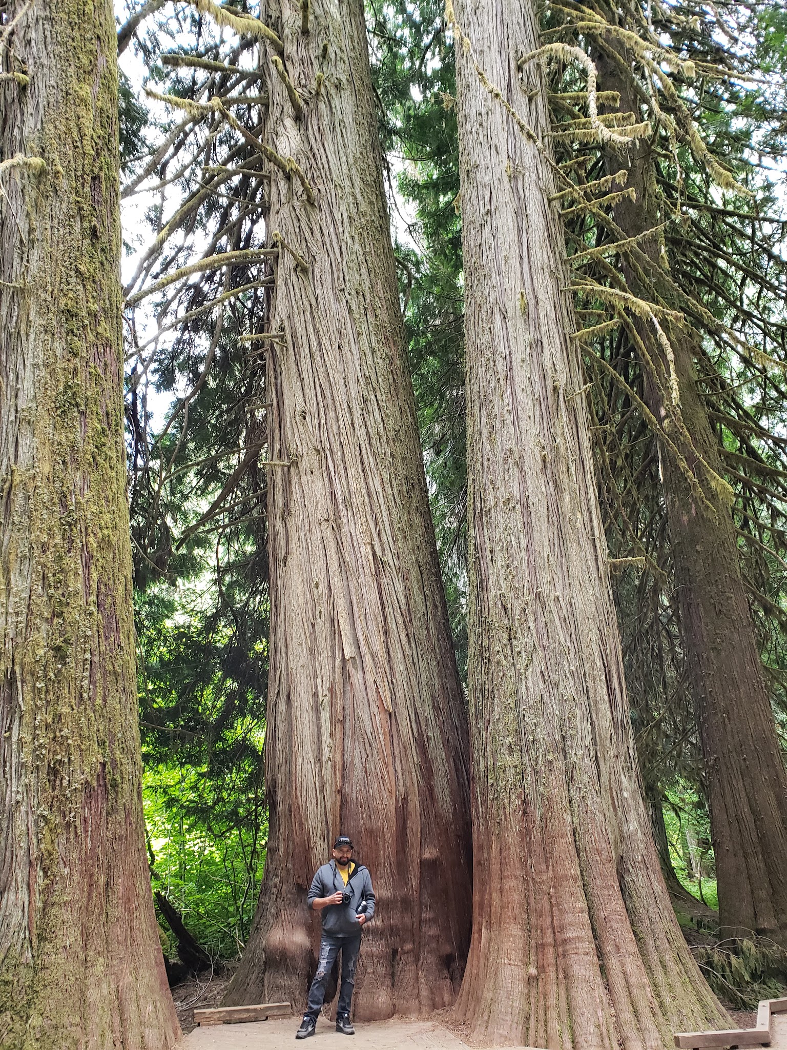South Fork Group Site - Wenatchee Nf (Wa)