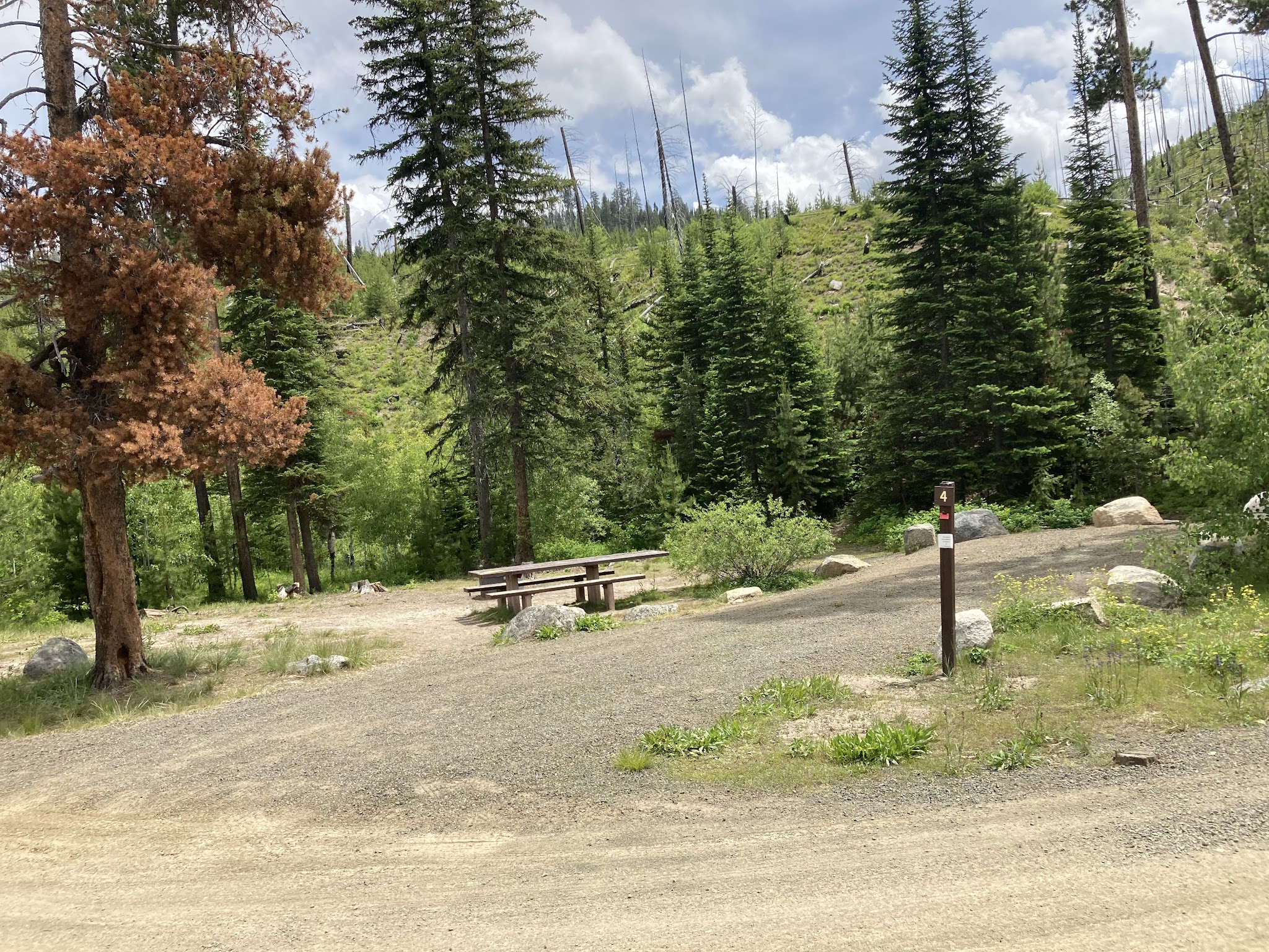 South Fork Salmon River Campground