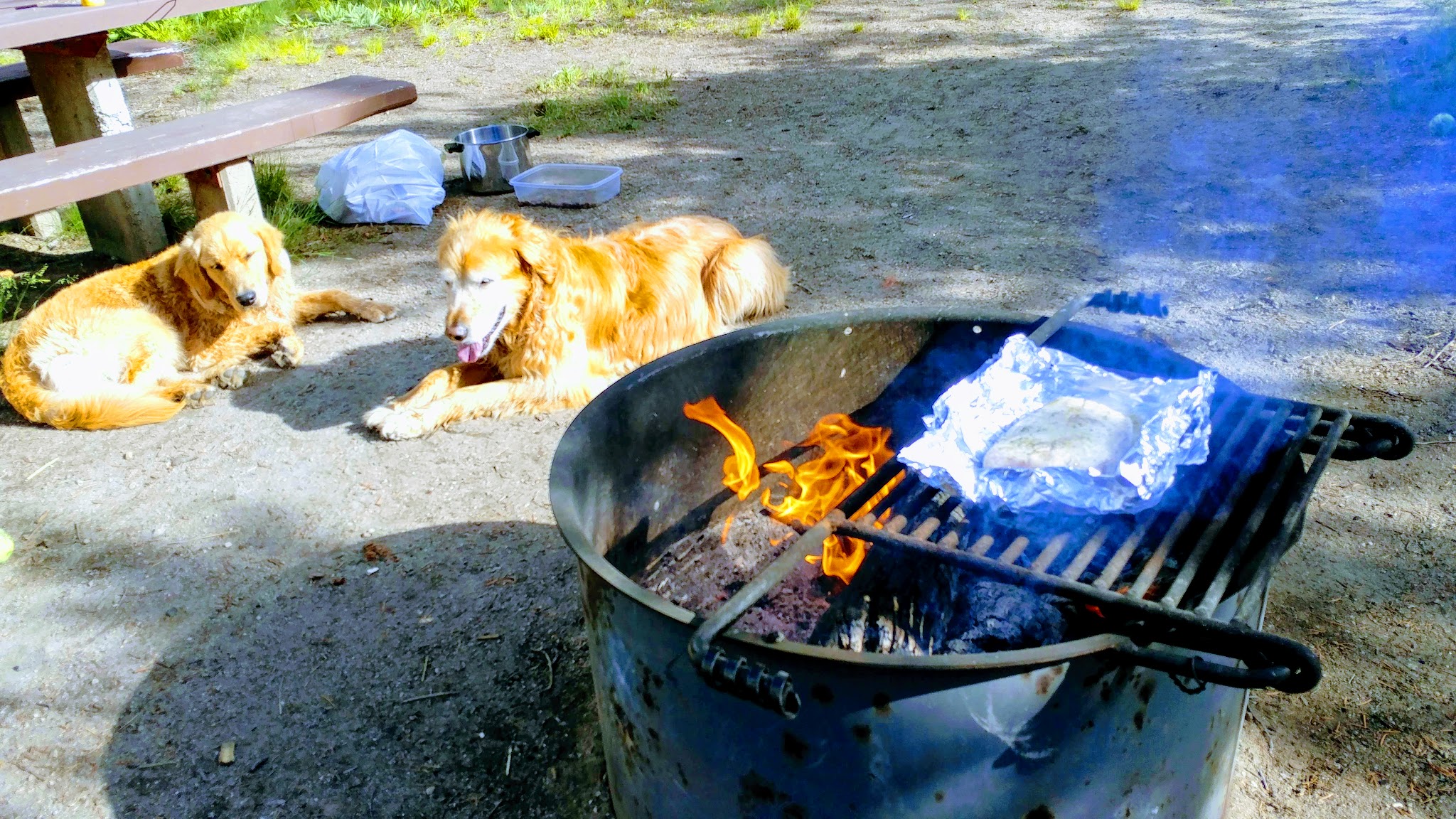South Fork Salmon River Campground