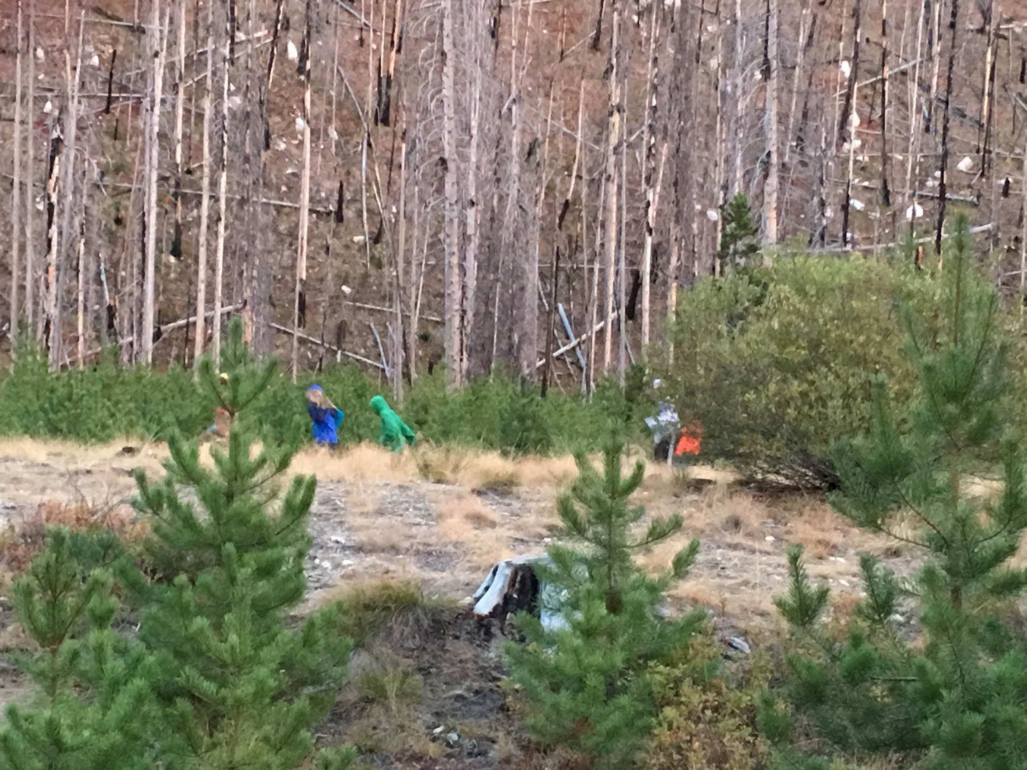 South Fork Salmon River Campground