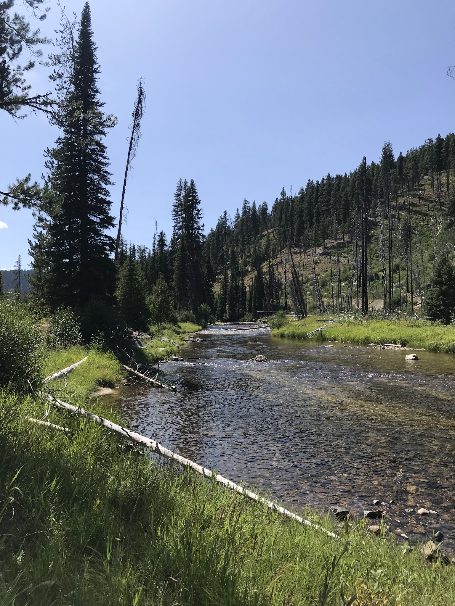 South Fork Salmon River Campground