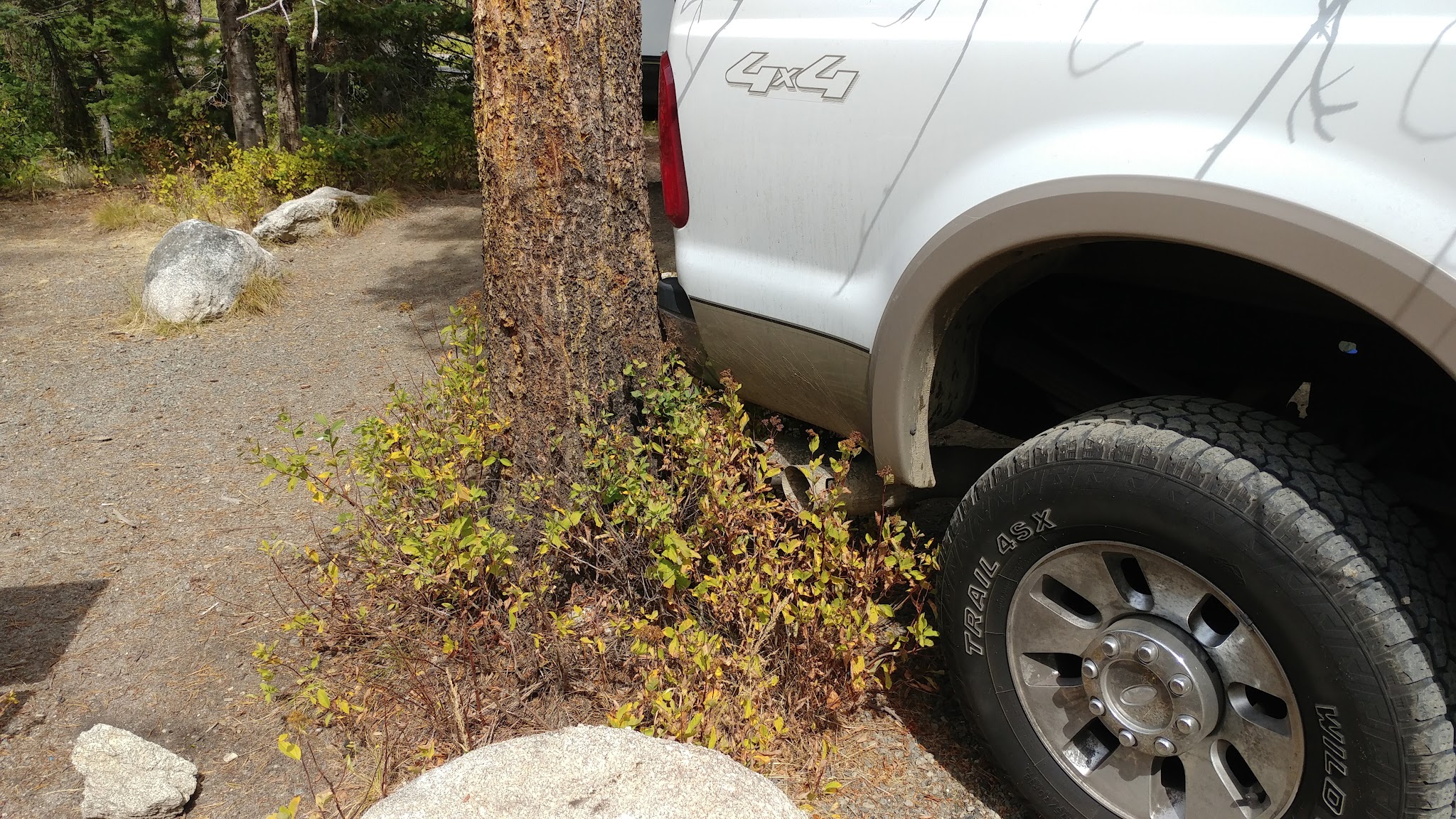 South Fork Salmon River Campground