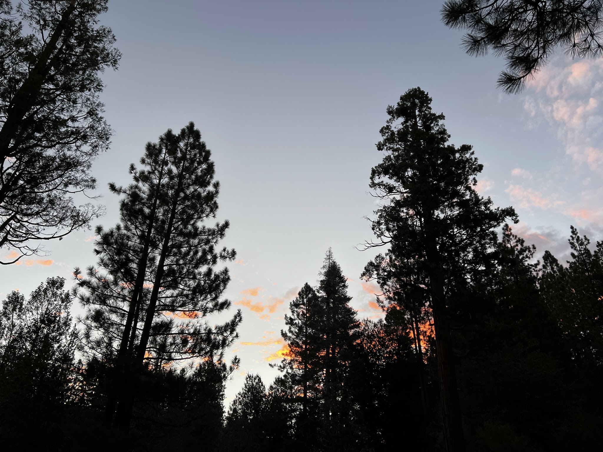 South Fork Family Campground