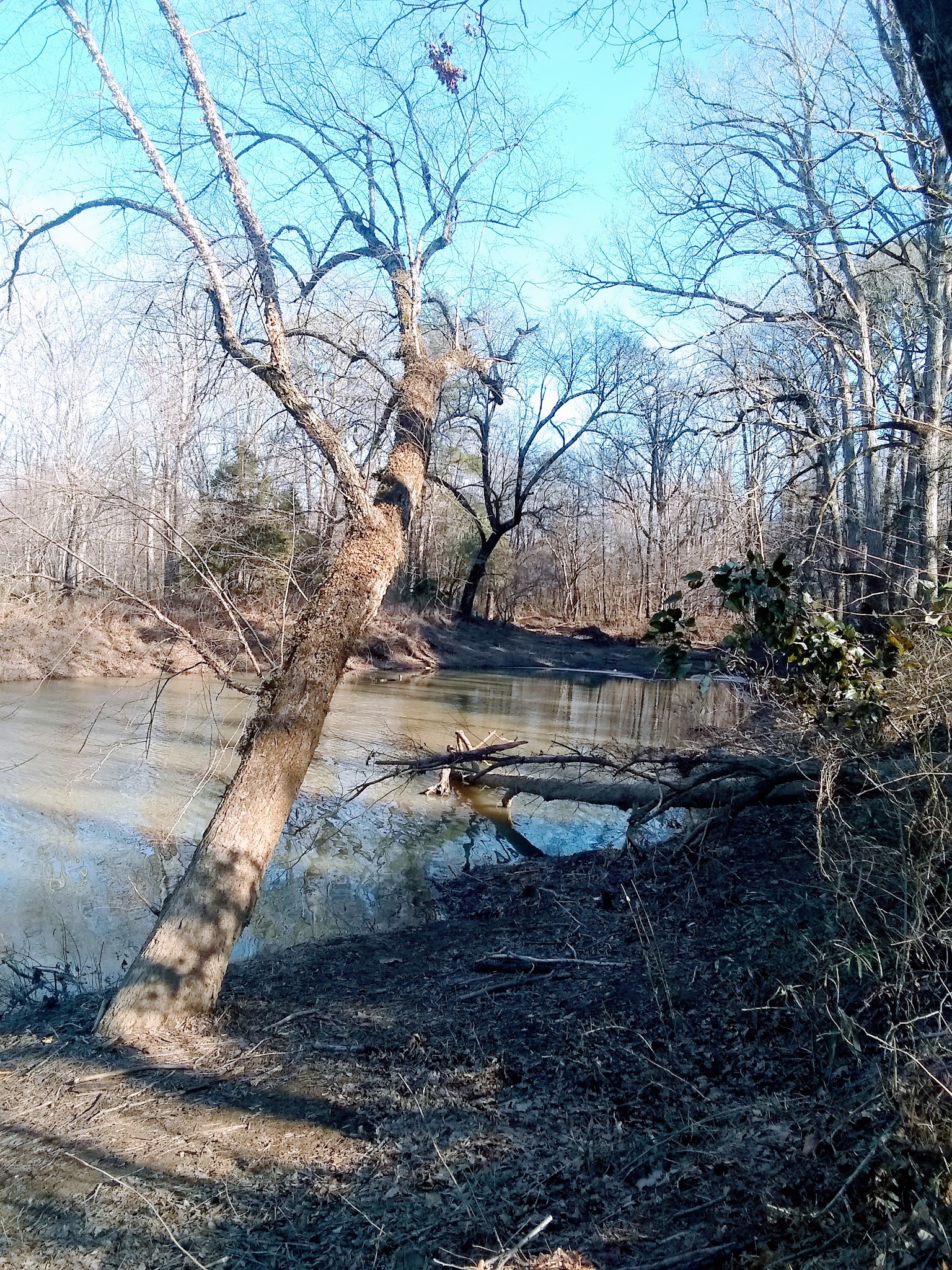 South Fourche Recreation Area