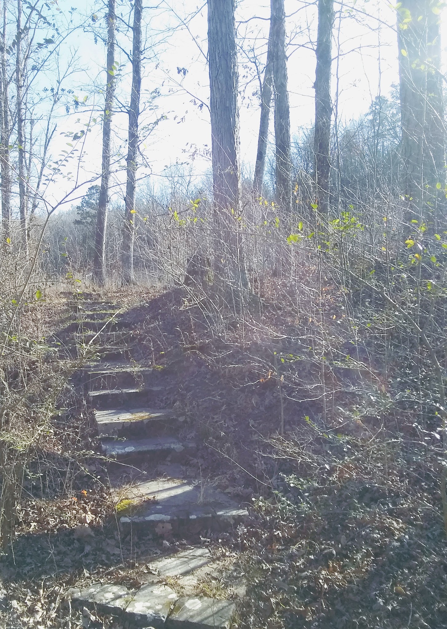 South Fourche Recreation Area