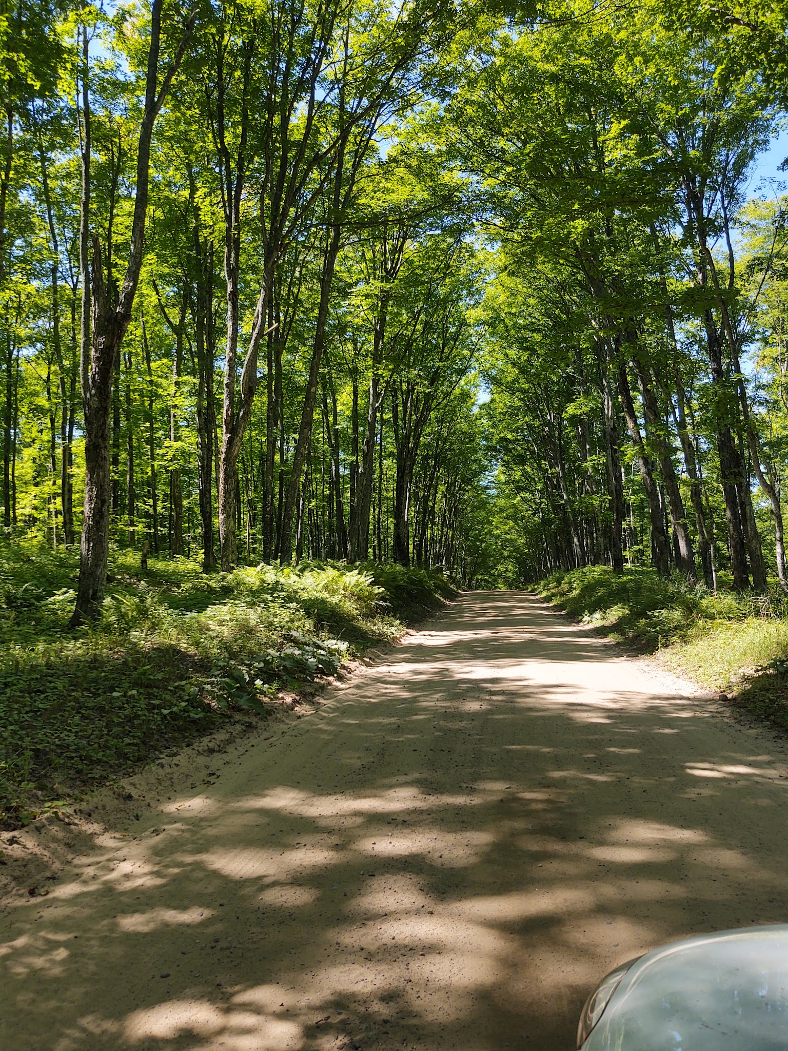 South Gemini Lake State Forest Campground