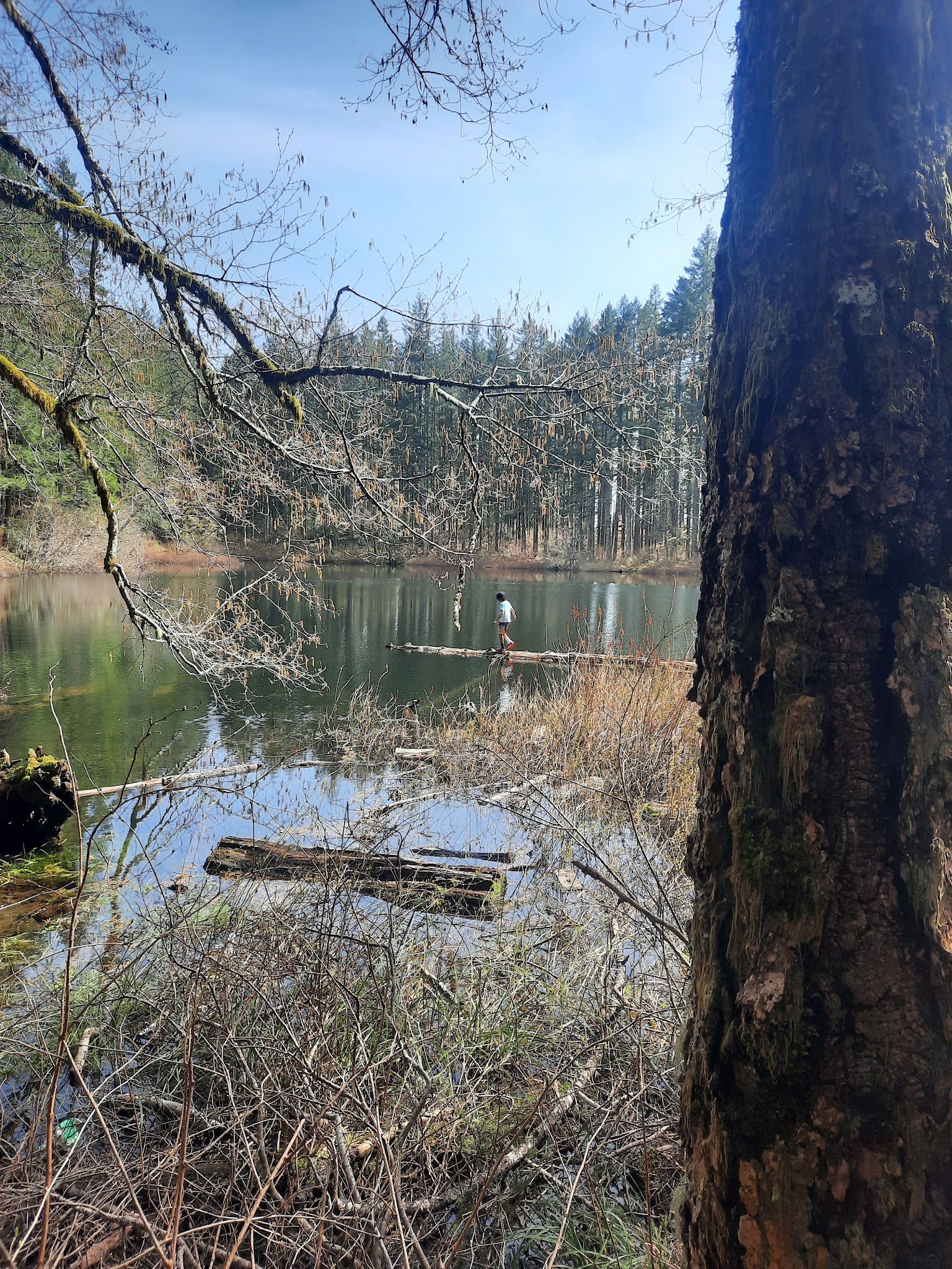 South Lake Dispersed Area