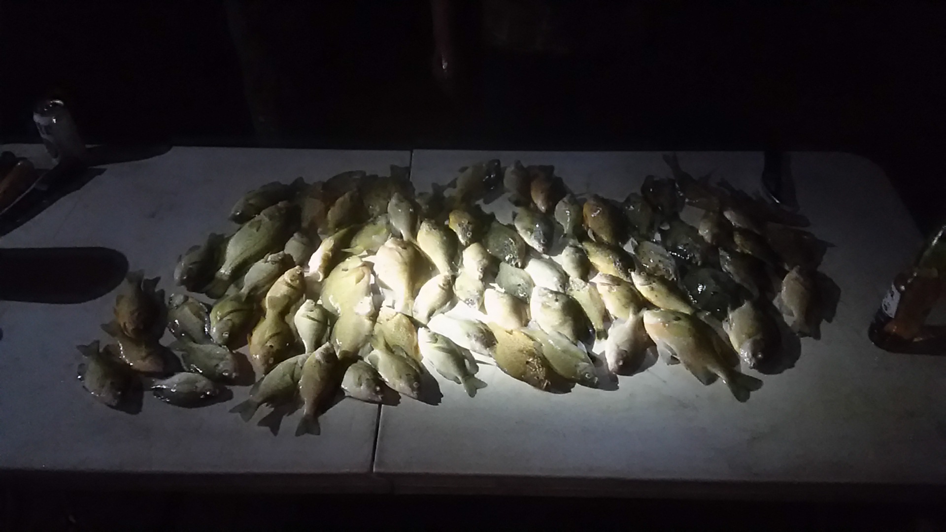 South Manistique Lake State Forest Campground