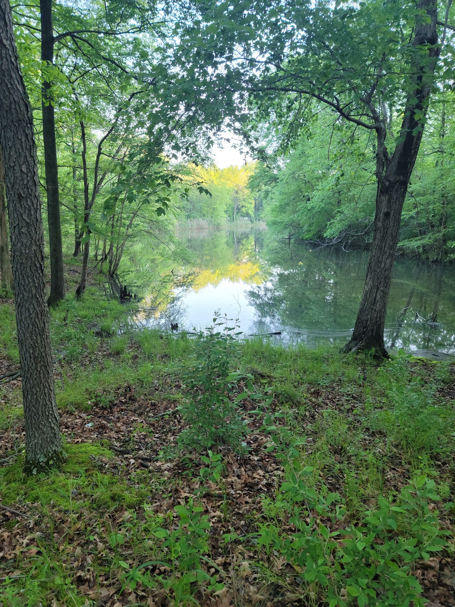 South Marcum Campground