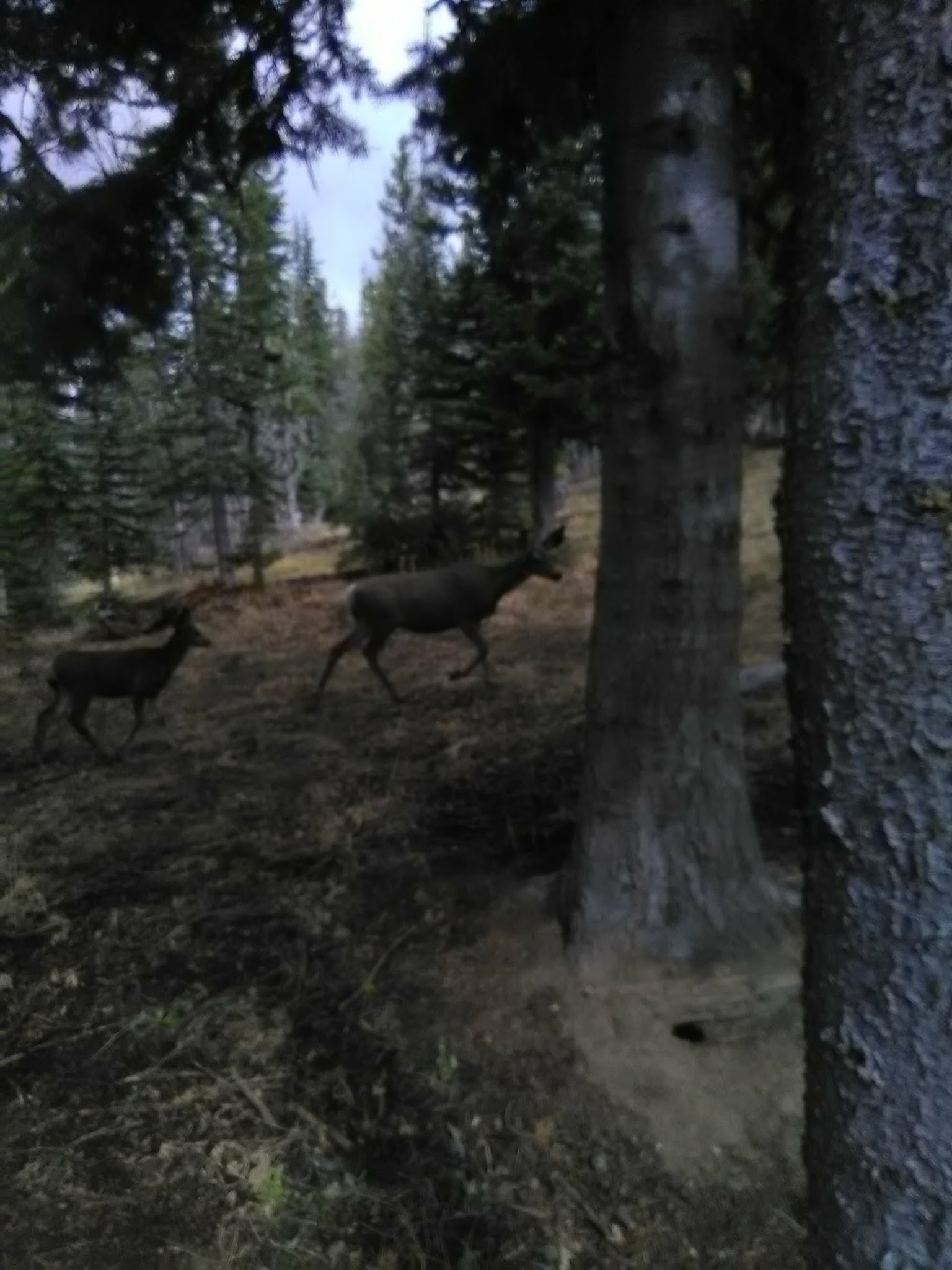 South Navarre Campground