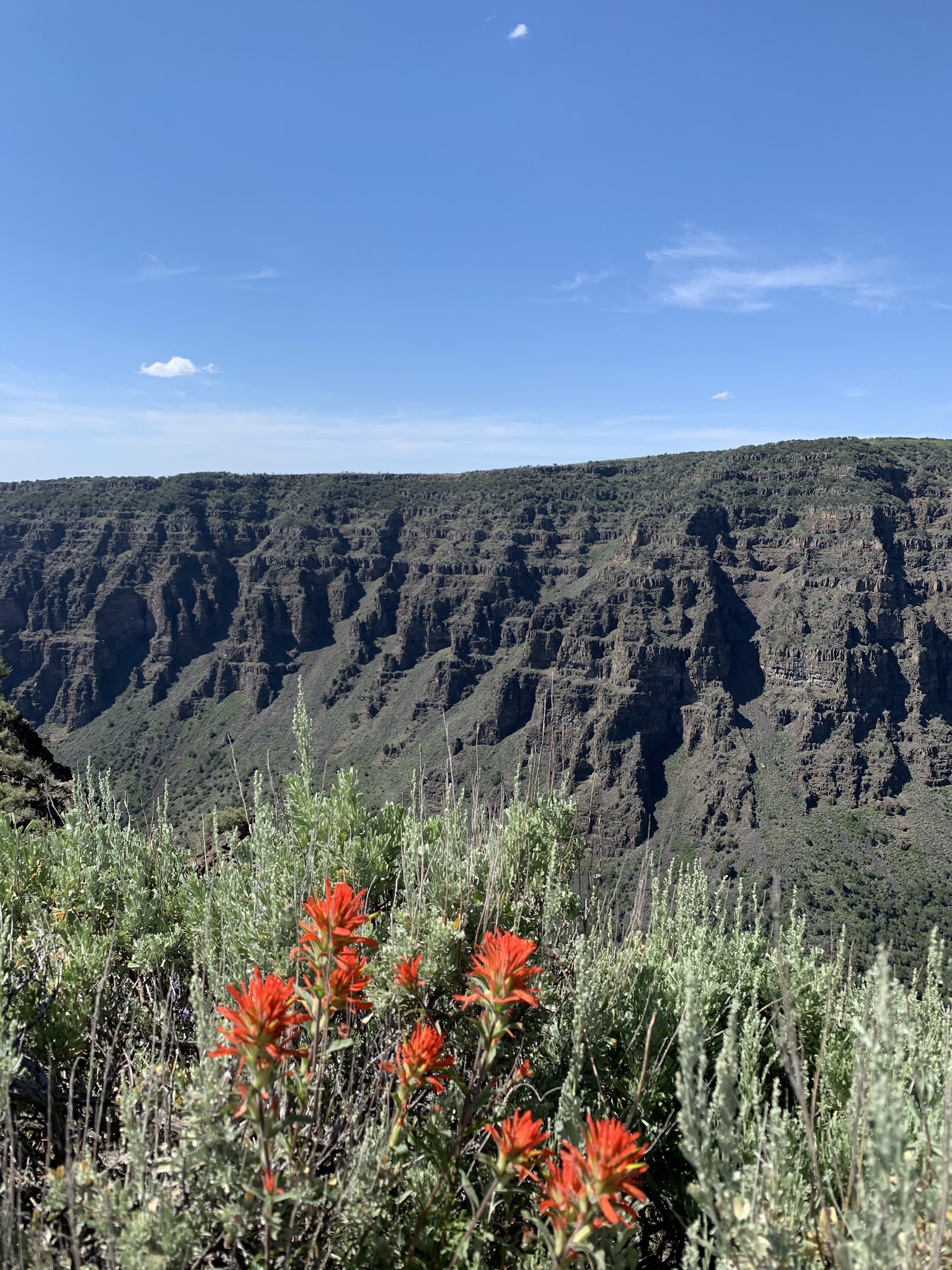 South Steens Campground