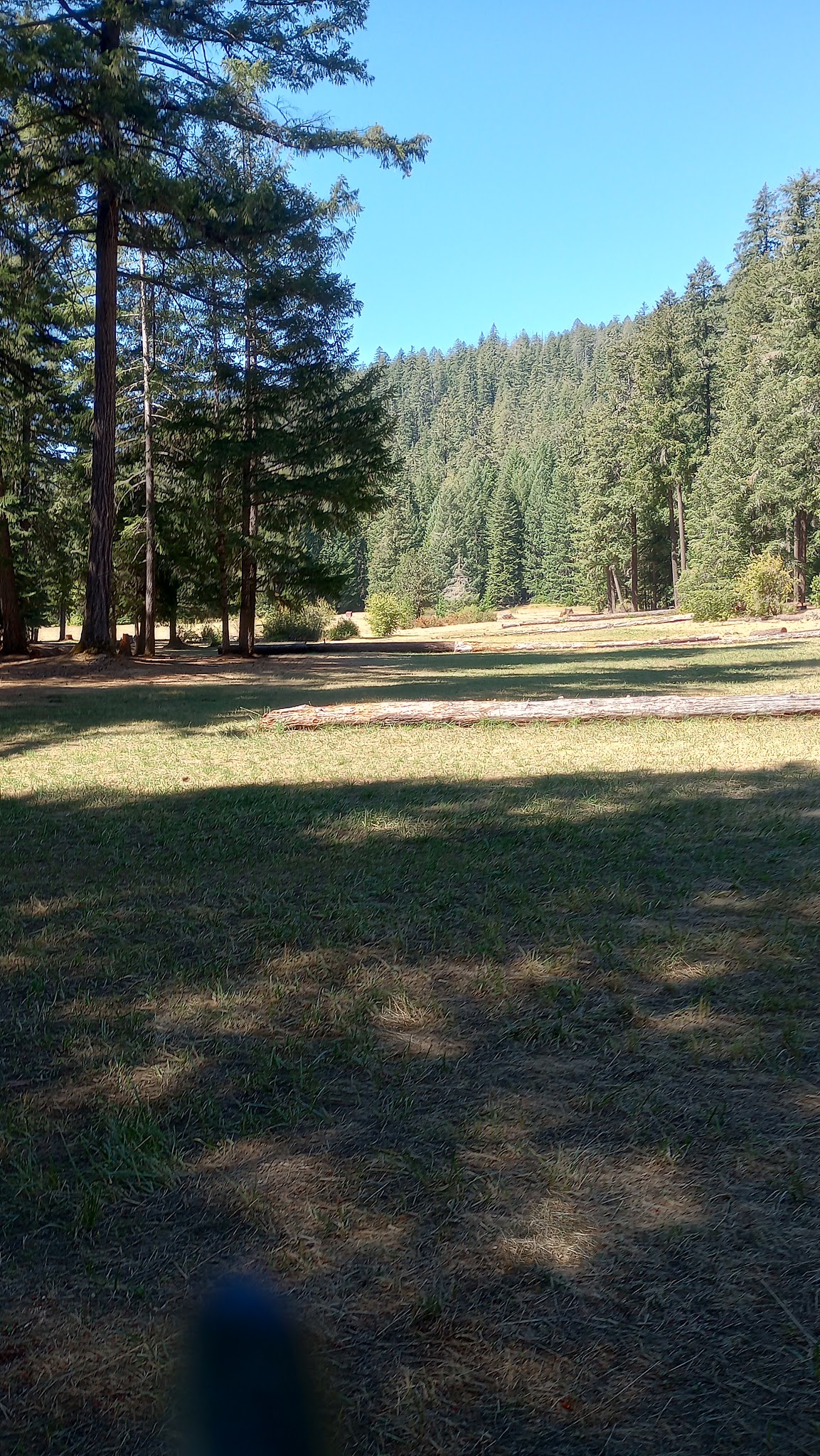 South Umpqua Falls Campground