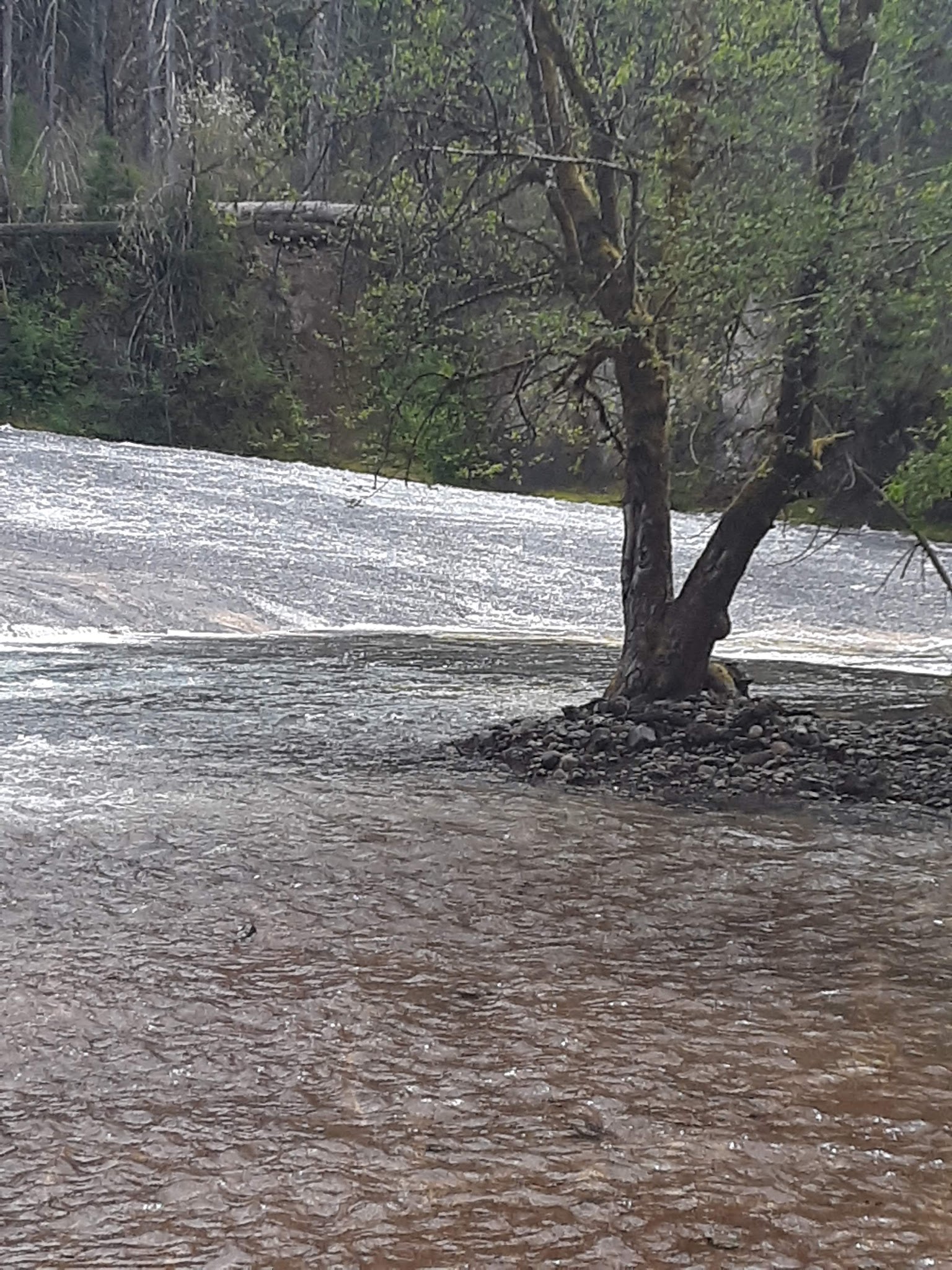 South Umpqua Falls Campground
