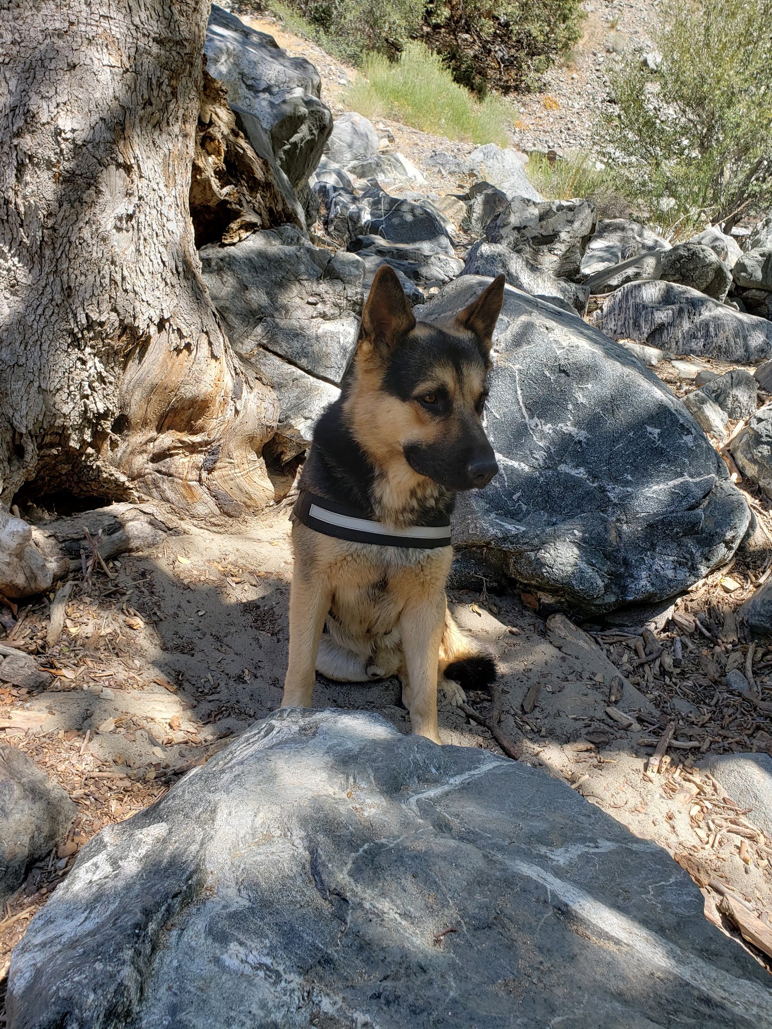 Southfork Campground