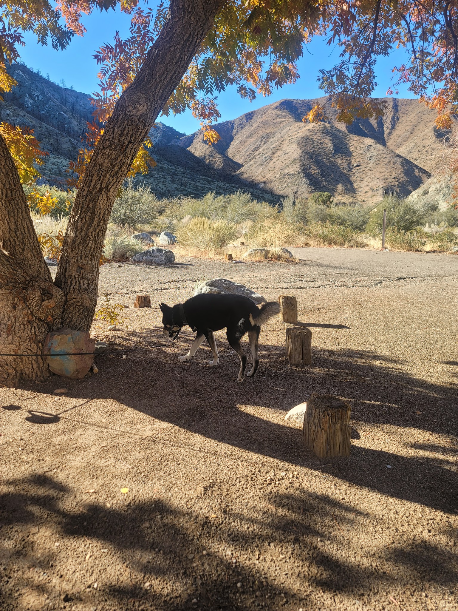 Southfork Campground