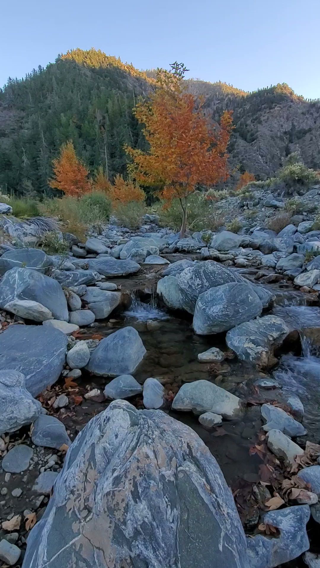 Southfork Campground