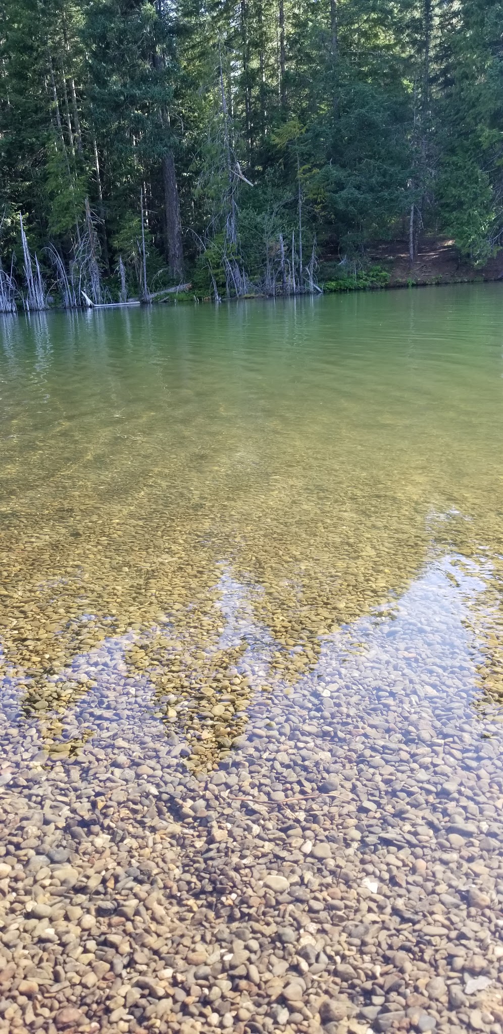 Spalding Pond Campground