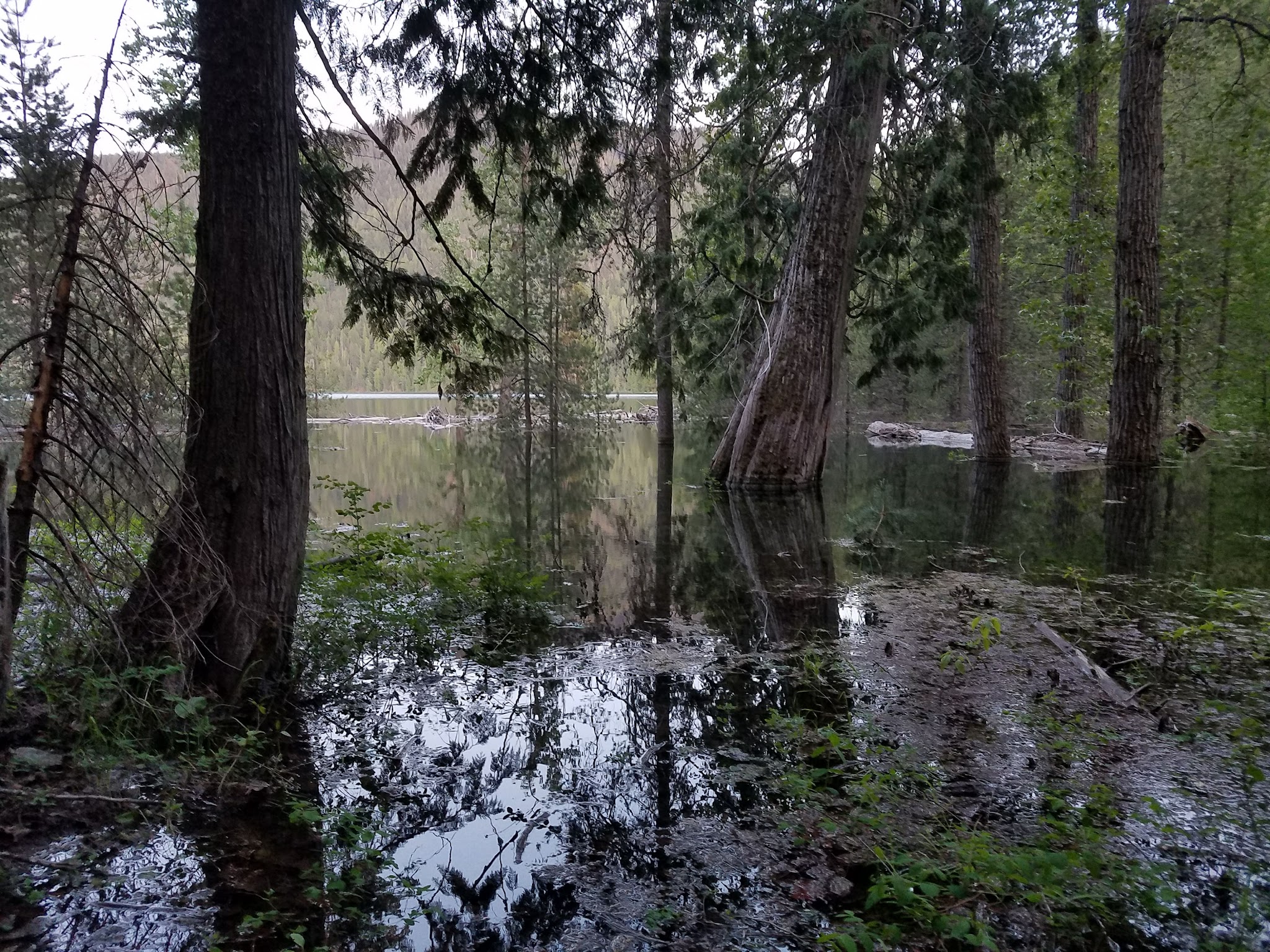 Spar Lake Campground