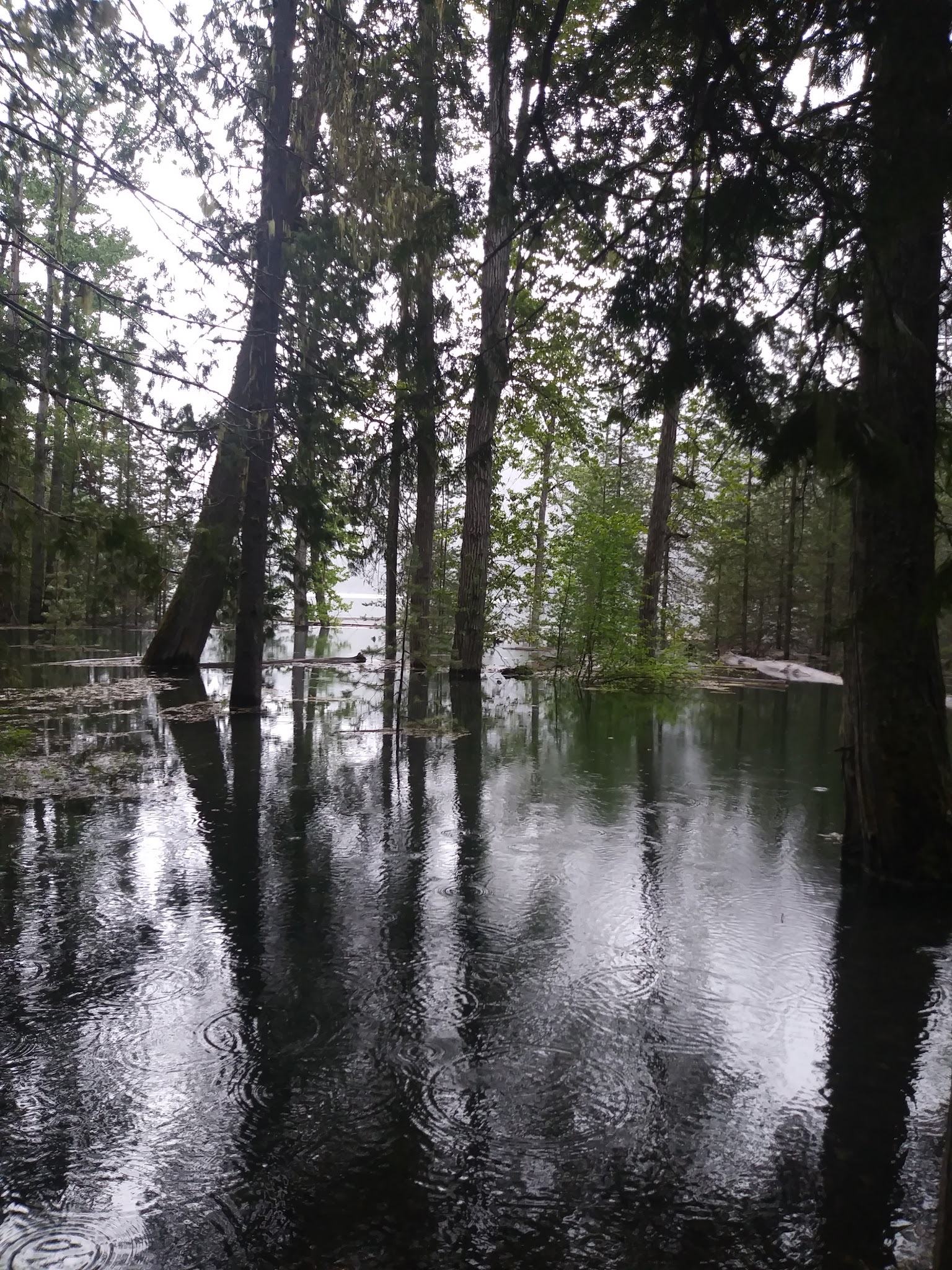 Spar Lake Campground