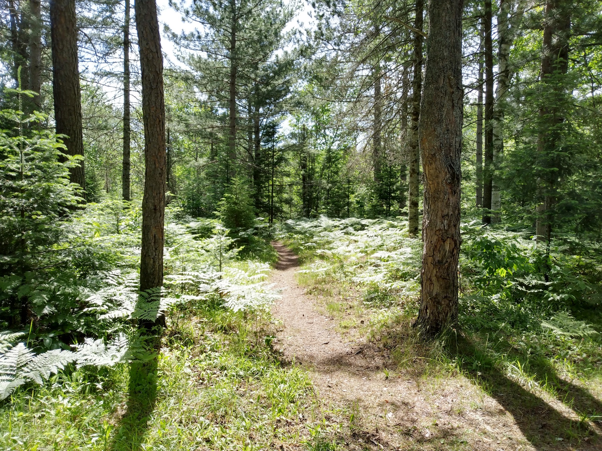 Sparrow Rapids Campground