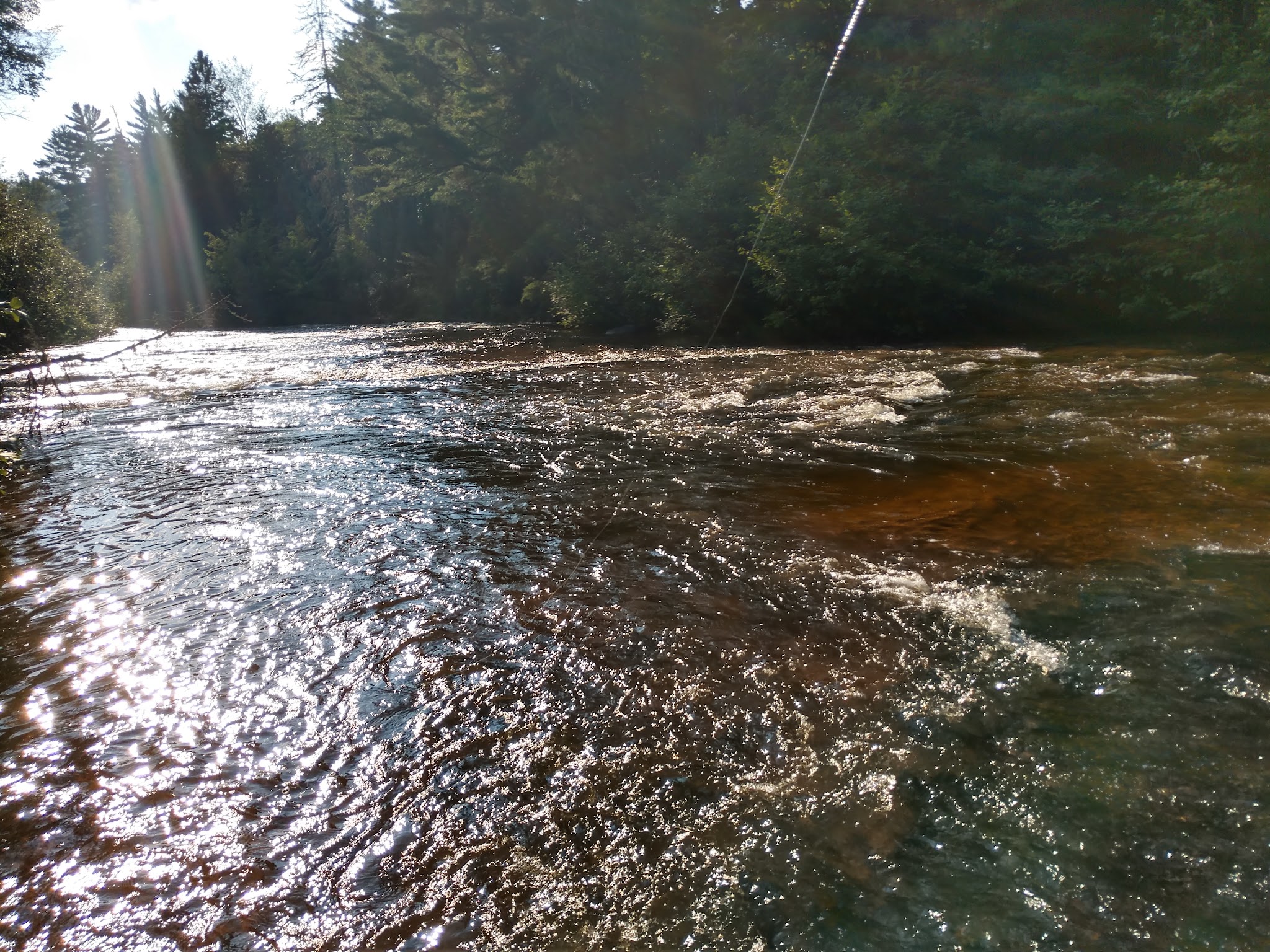 Sparrow Rapids Campground