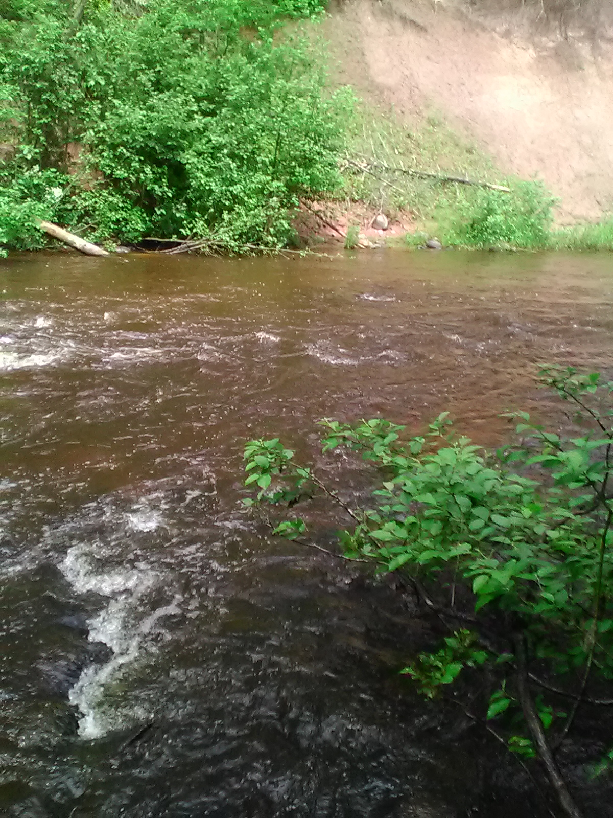 Sparrow Rapids Campground