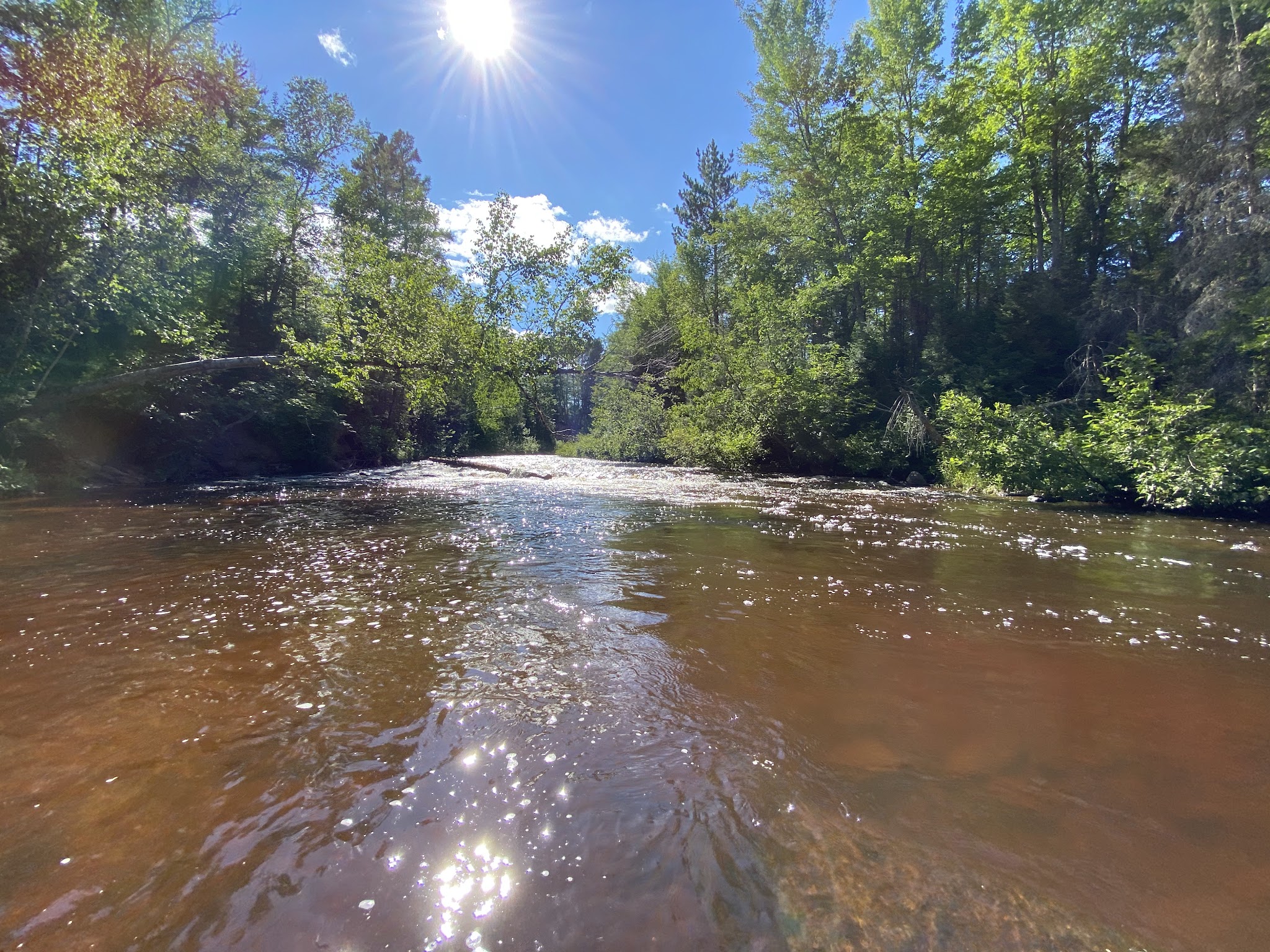 Sparrow Rapids Campground