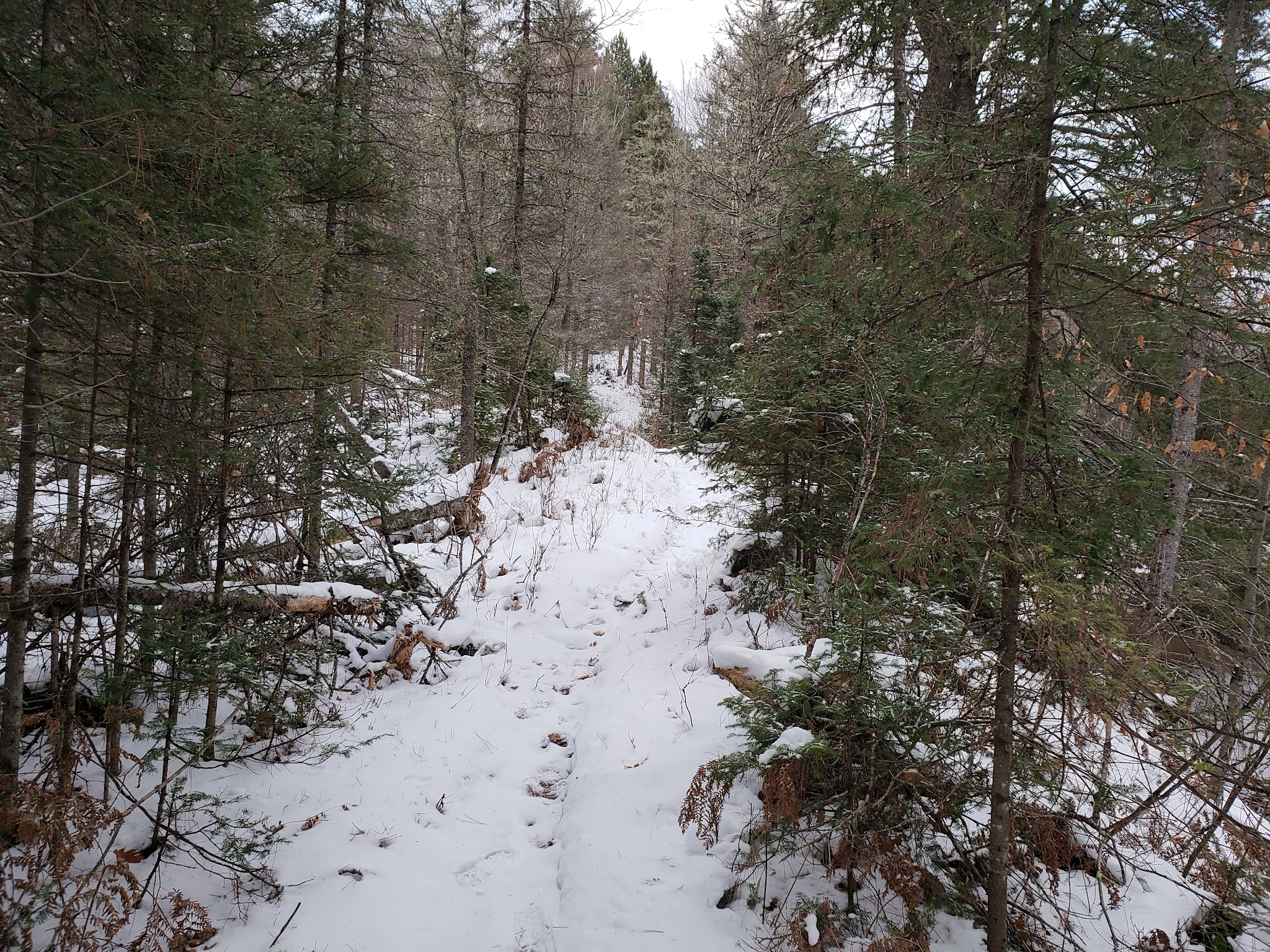 Sparrow Rapids Campground