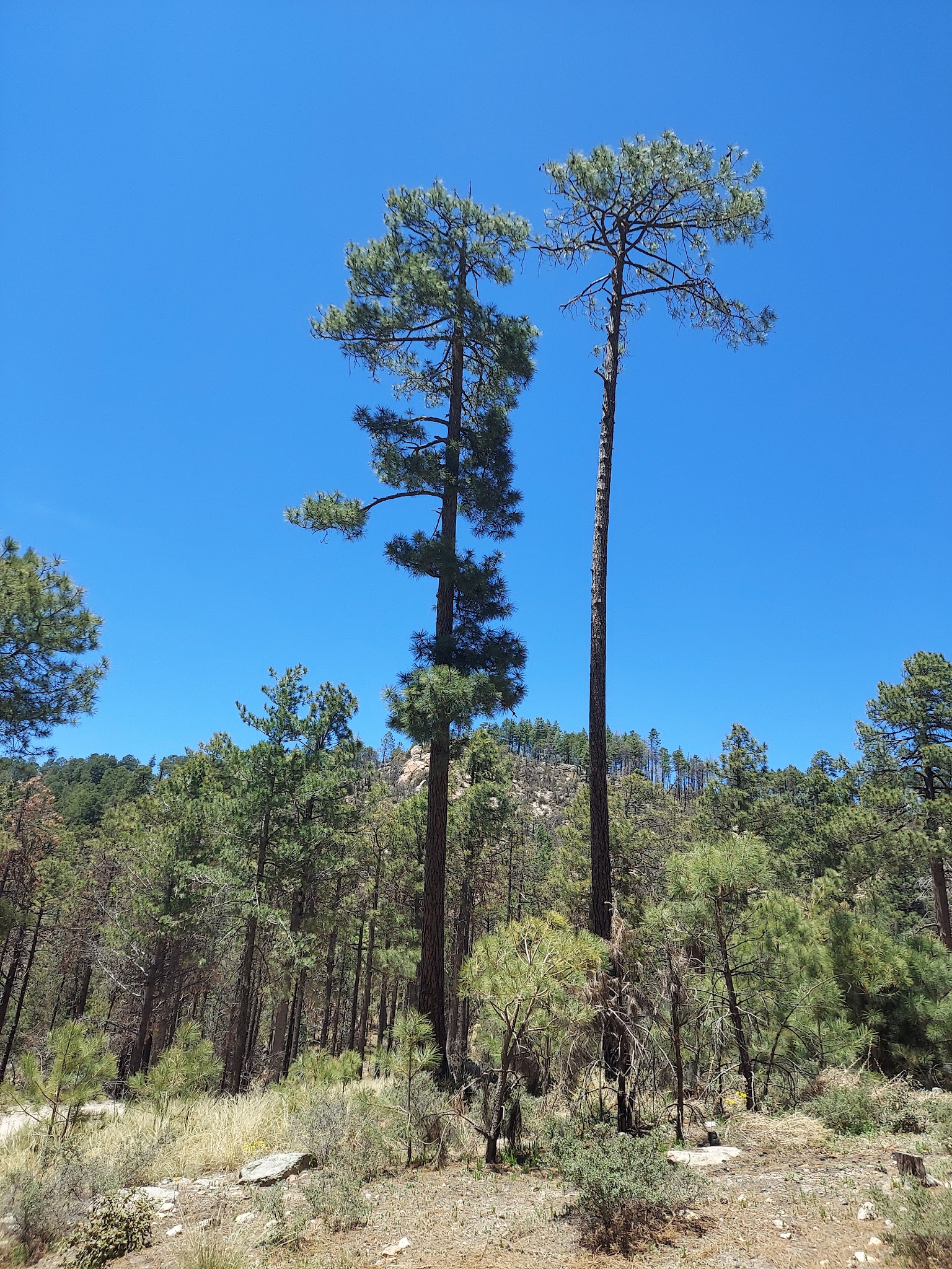 Spencer Canyon Campground