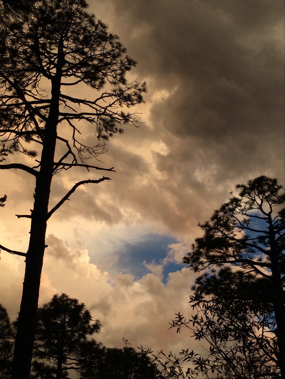 Spencer Canyon Campground