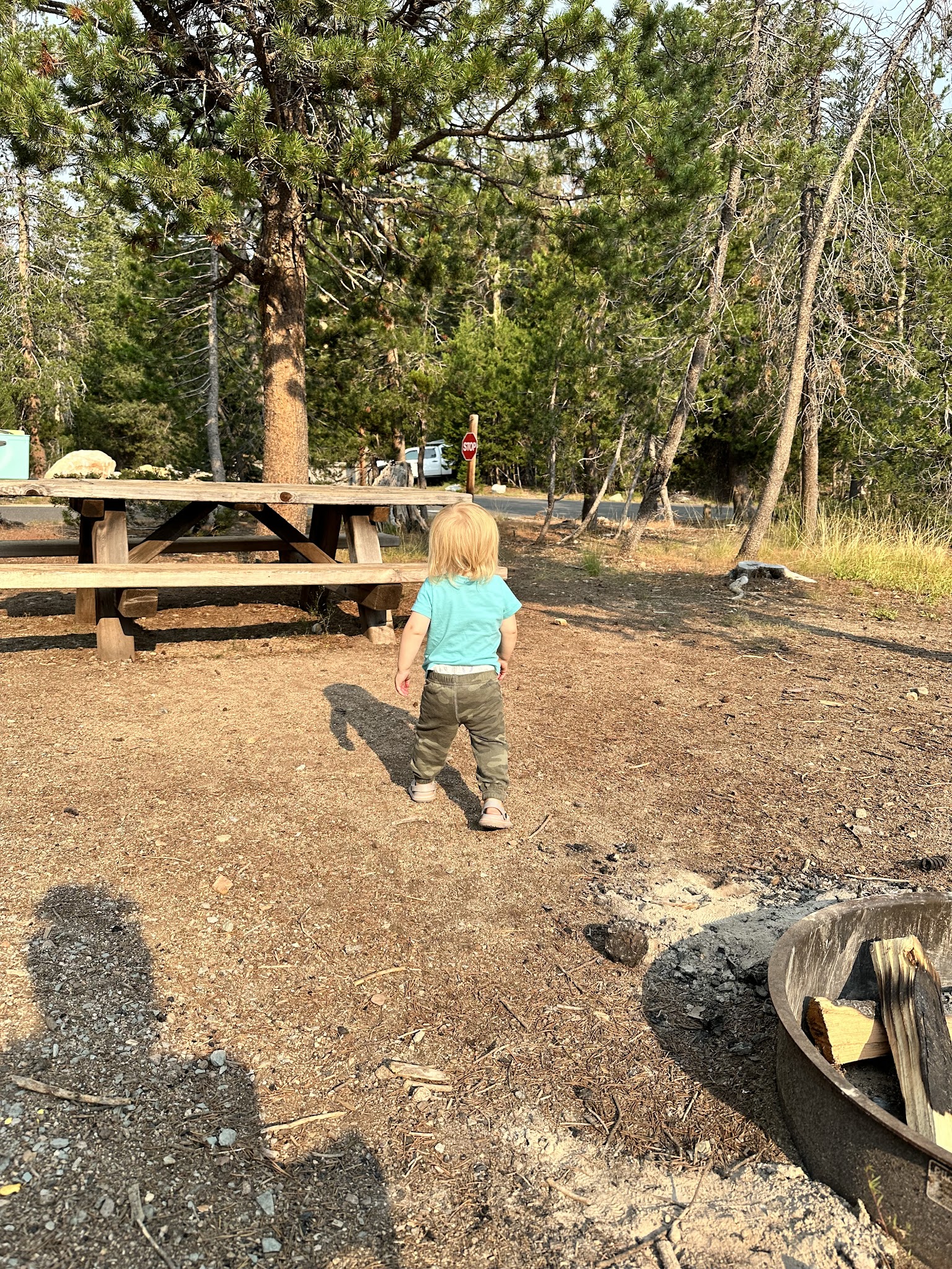 Spicer Reservoir Group Campground
