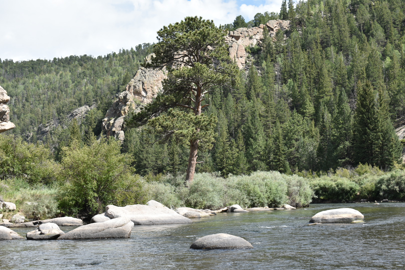 Eleven Mile State Park