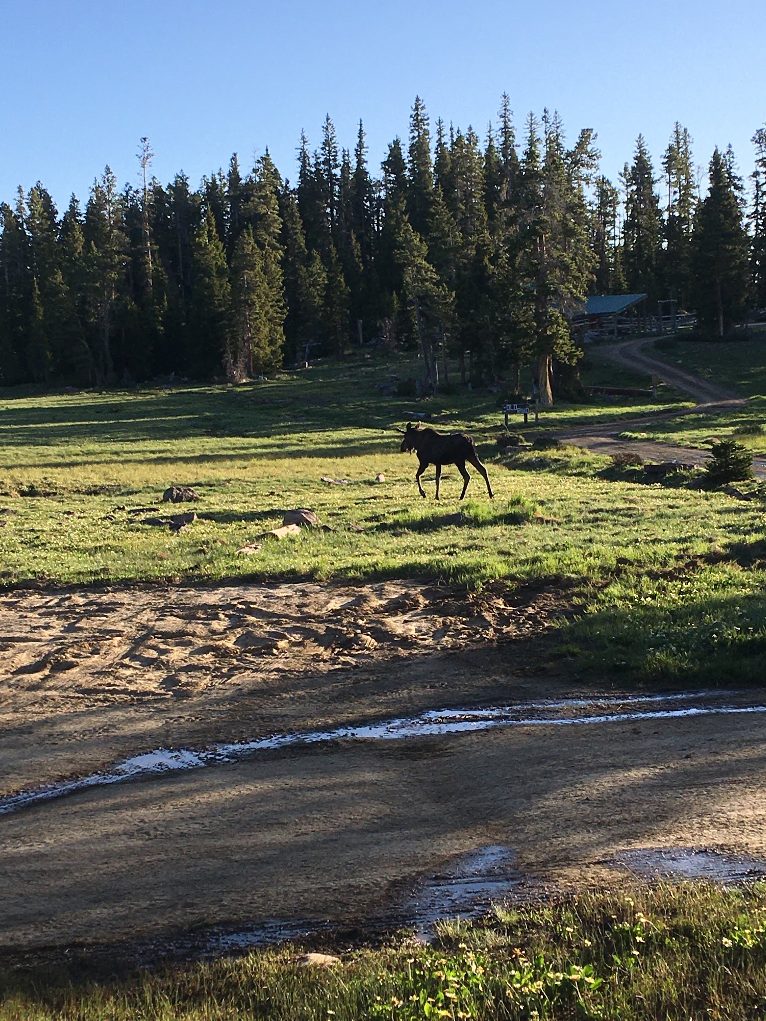 Spirit Lake Campground