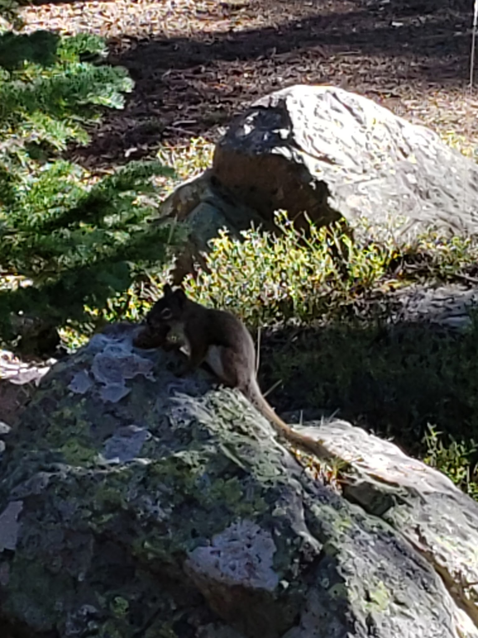 Spirit Lake Campground