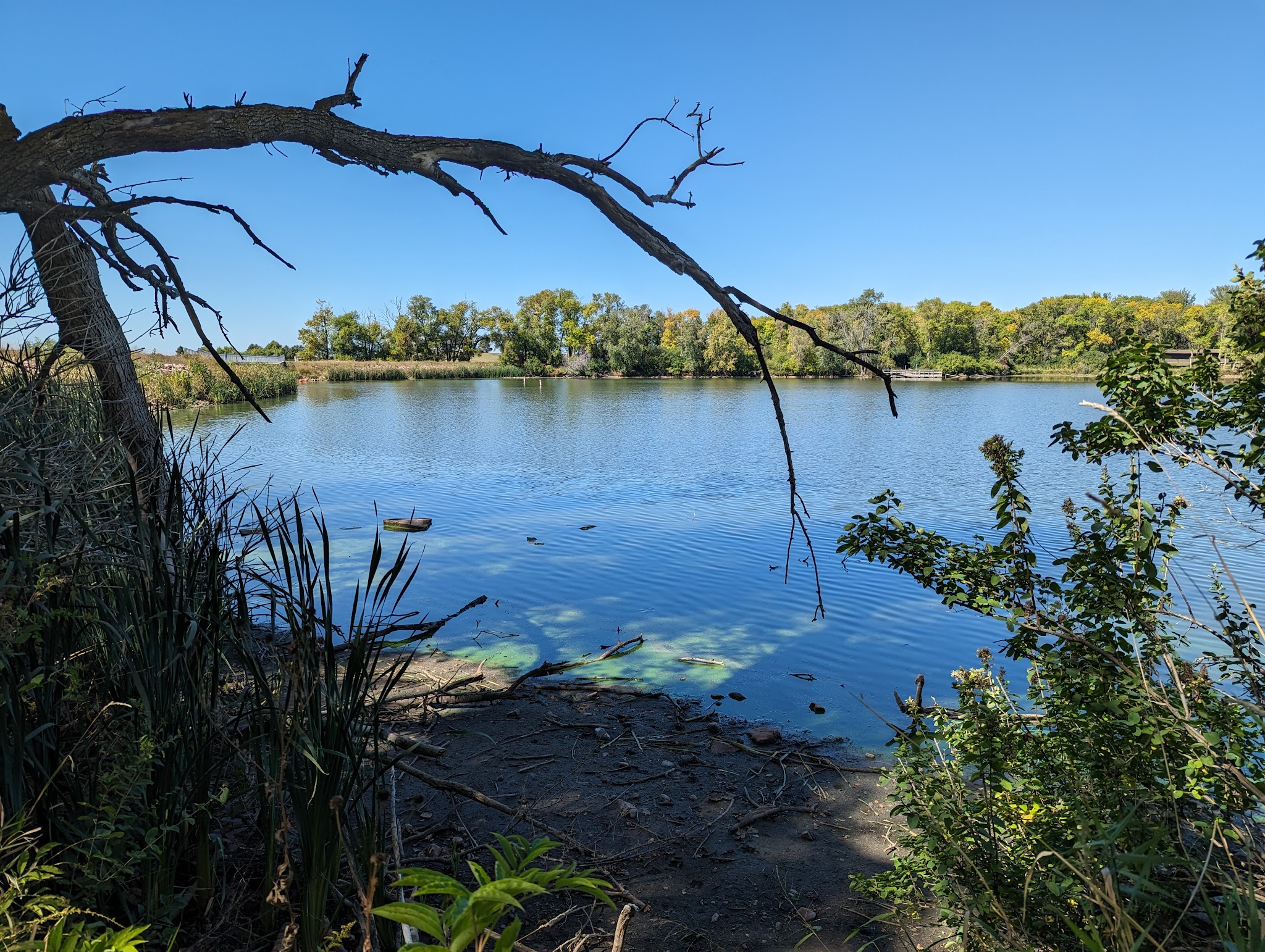 Prairie Lake Campground