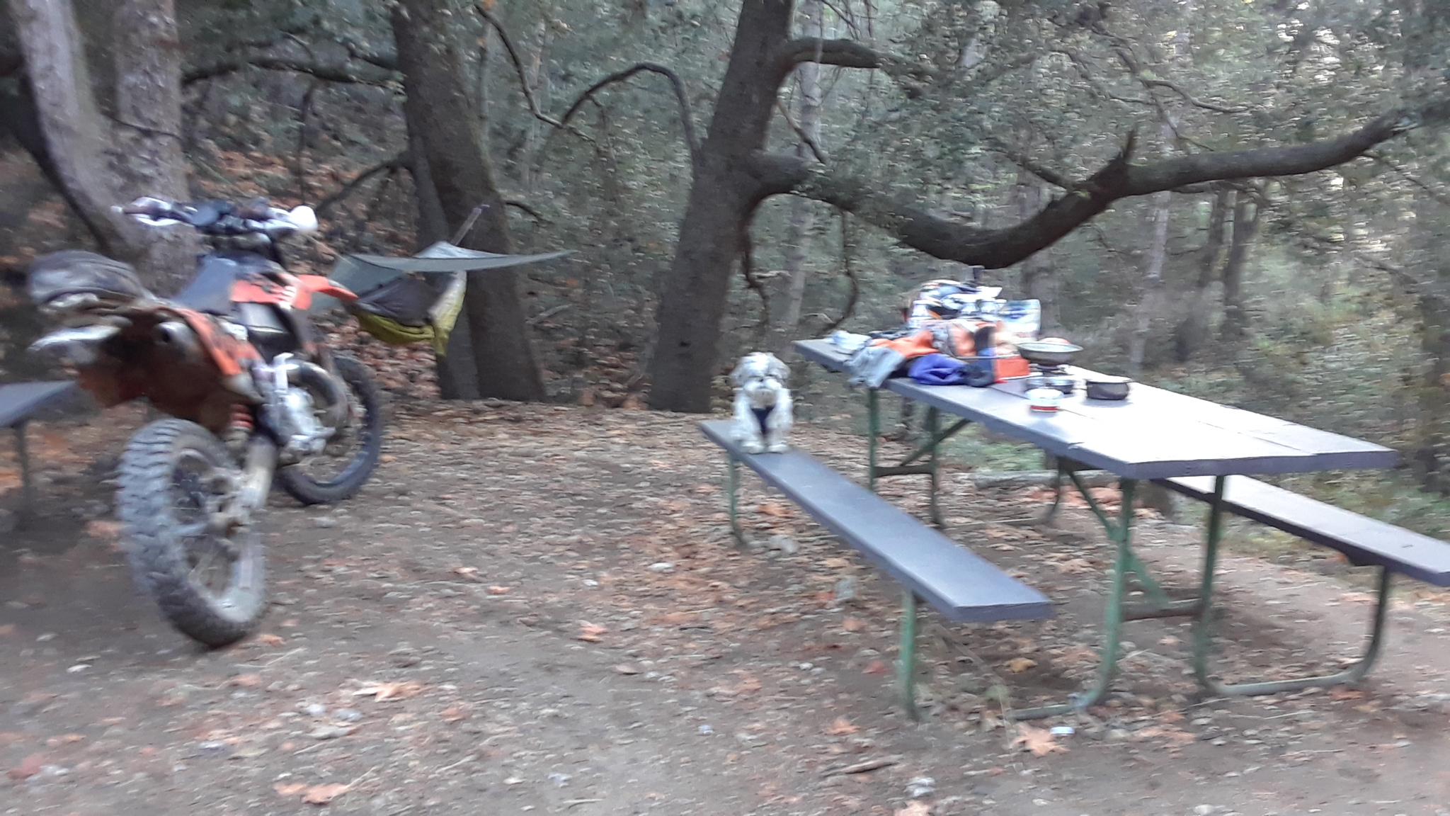 Spring Camp Campground