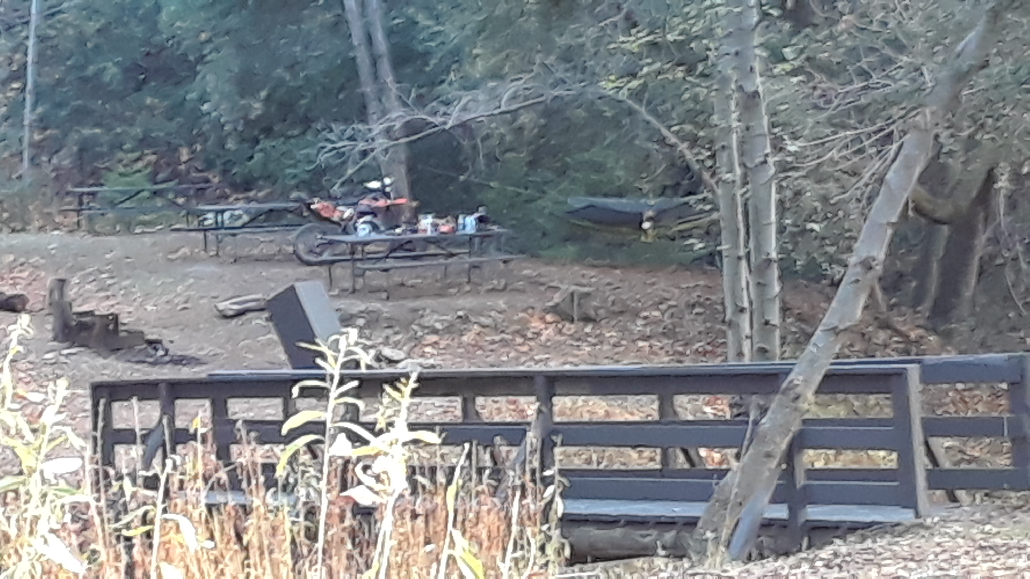 Spring Camp Campground