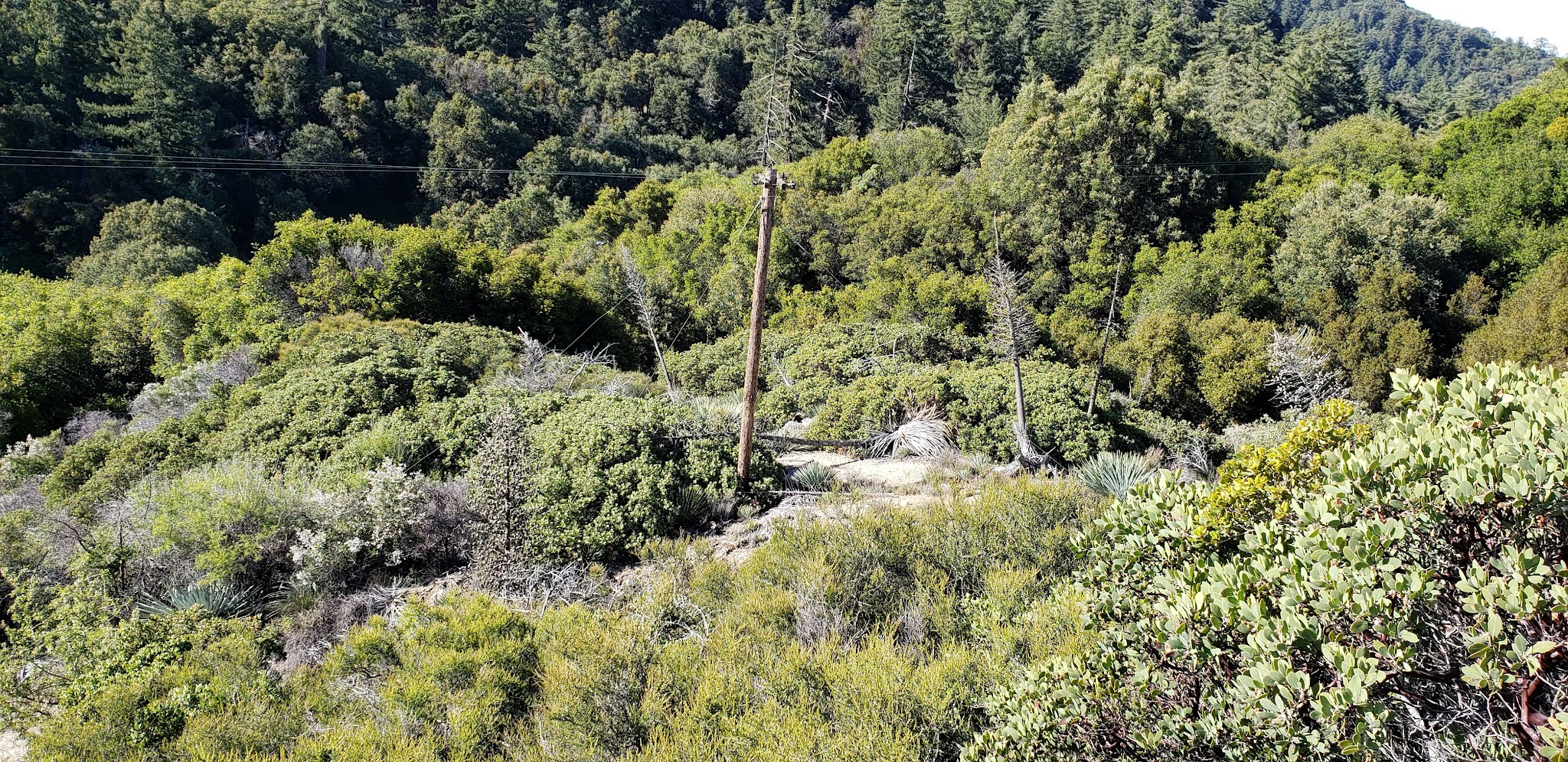 Spring Camp Campground