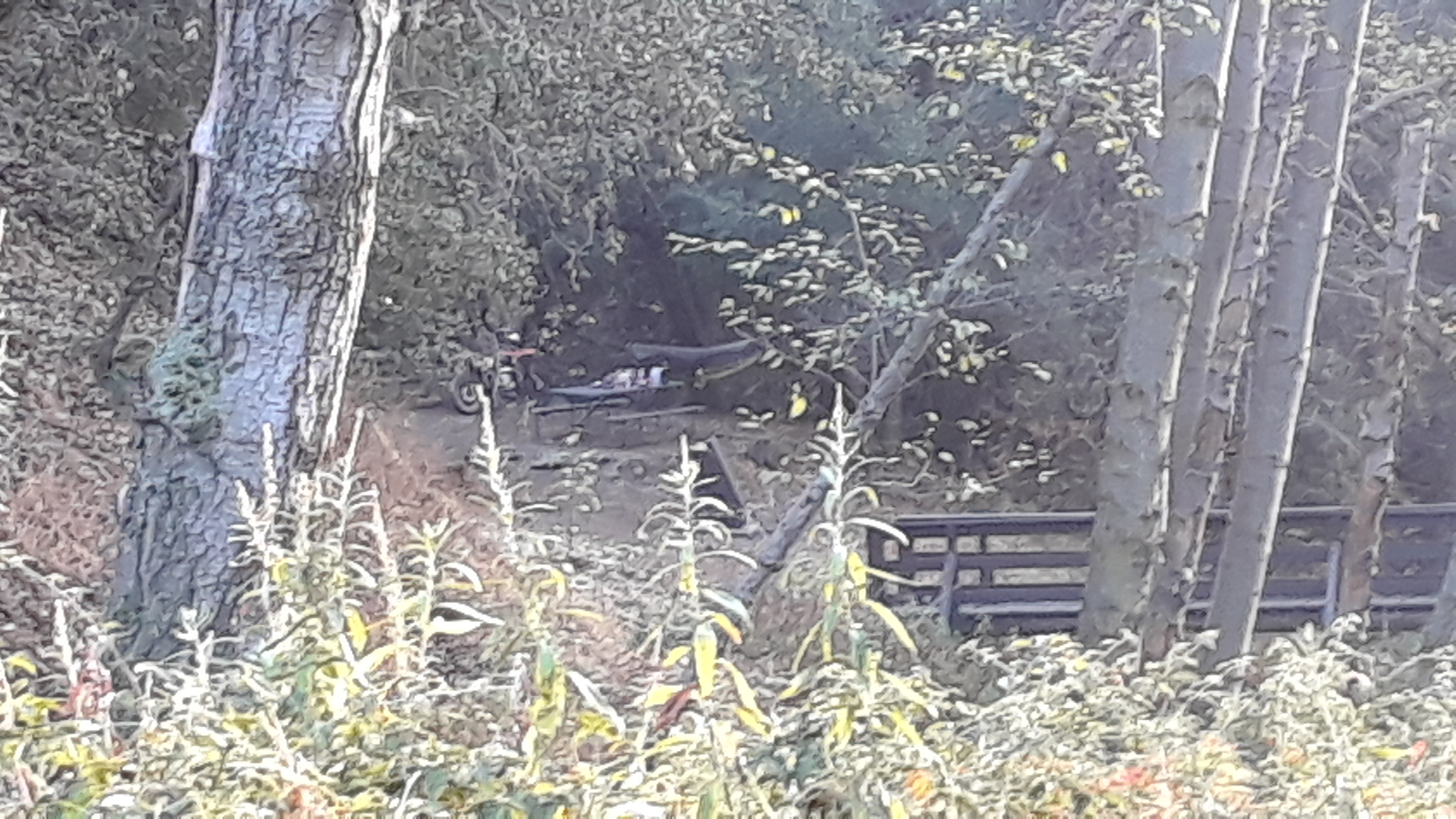 Spring Camp Campground